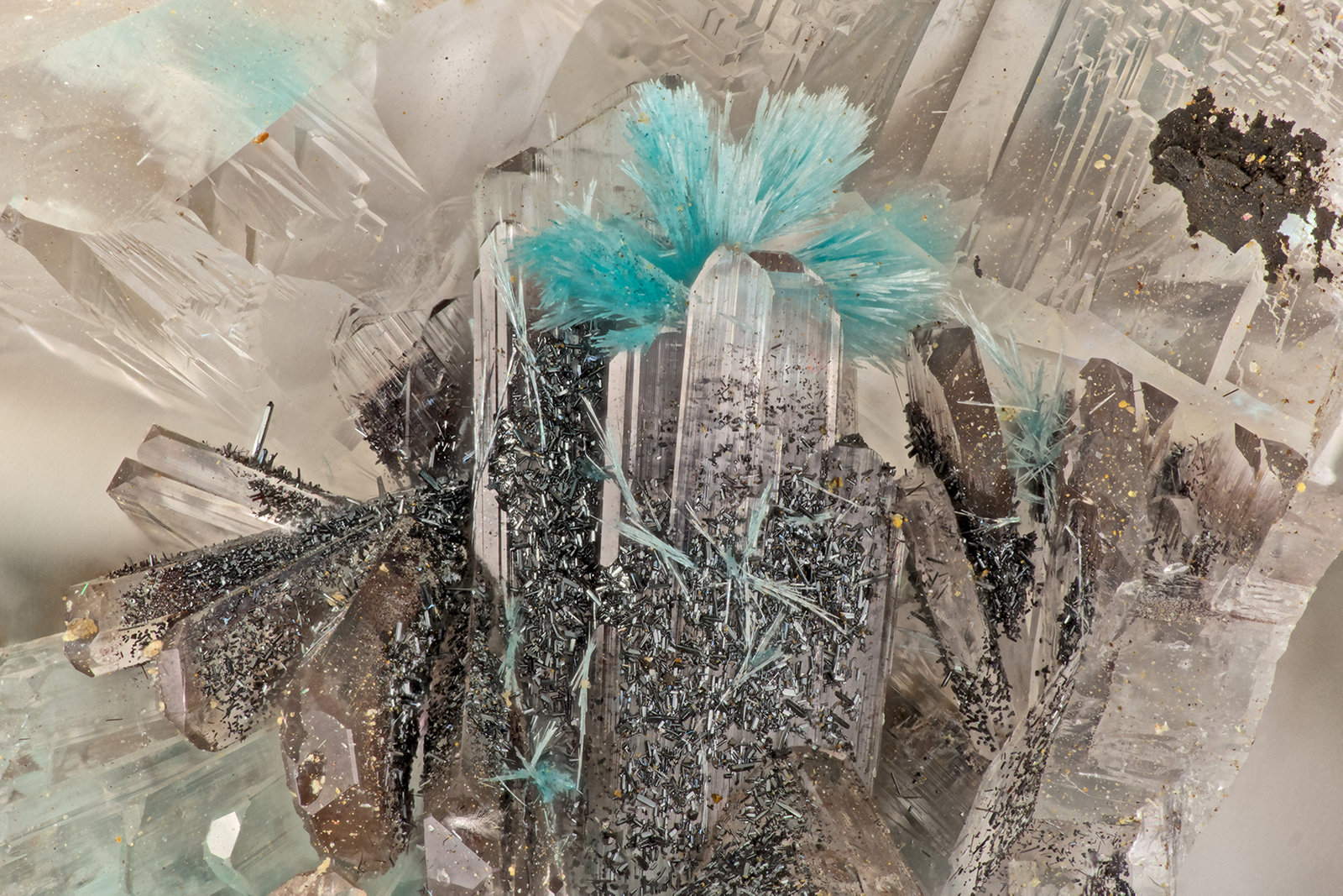 Aurichalcite, Plattnerite, Hemimorphite
FOV = 3.4 mm
(Autor: Doug)