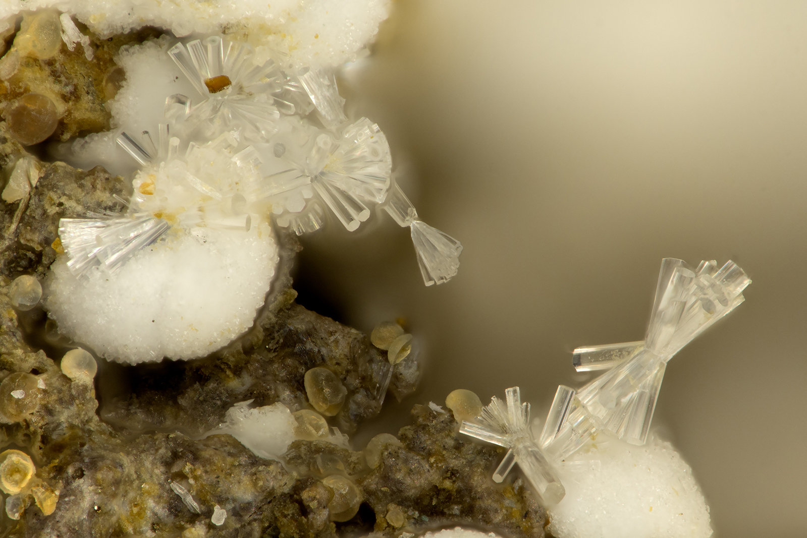 Erionite-K
FOV = 1.3 mm
(Autor: Doug)