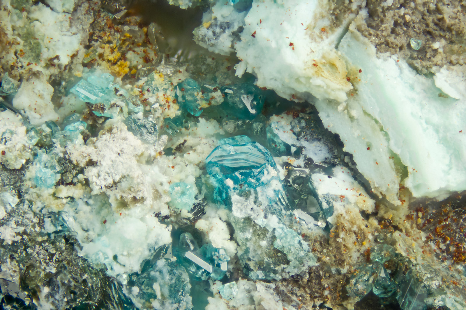 Caledonite
FOV = 2.0 mm
(Autor: Doug)