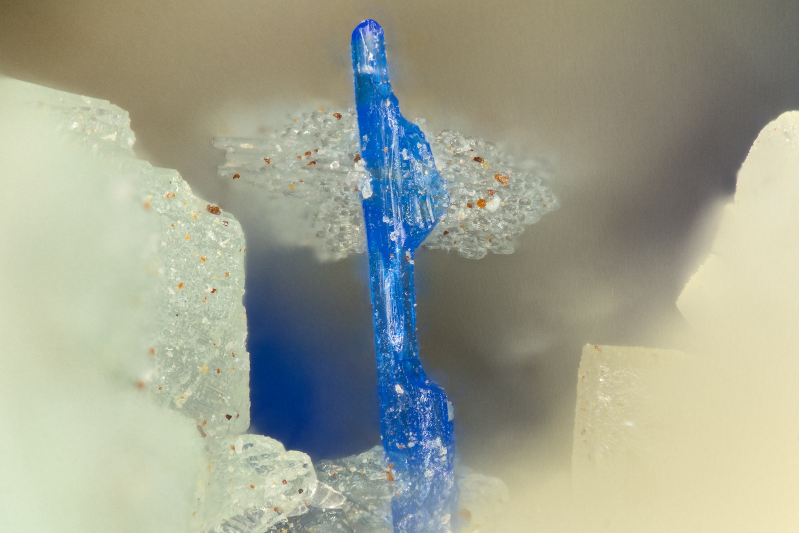 Linarite
FOV = 1.6 mm
(Autor: Doug)
