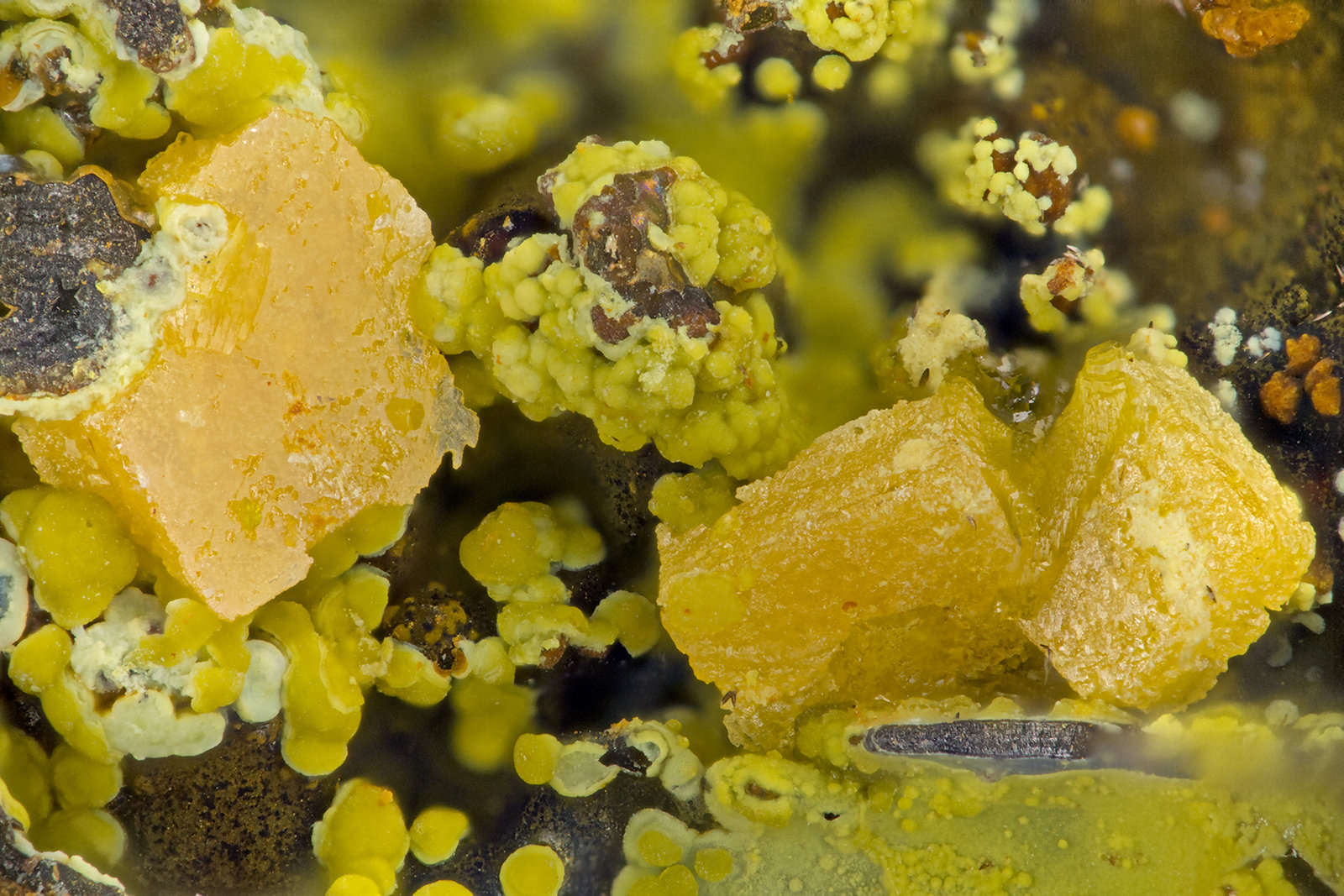 Wulfenite, Mimetite
FOV = 2.0 mm
(Autor: Doug)