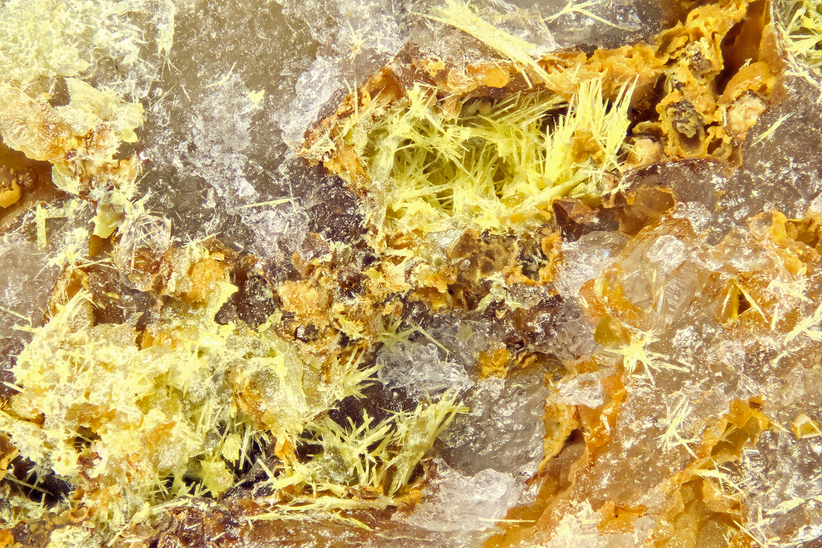 Mimetite
FOV = 4.0 mm
(Autor: Doug)