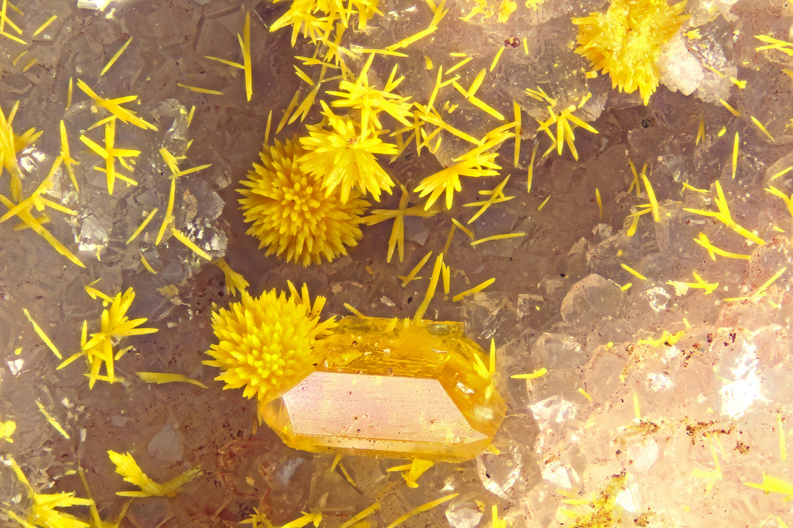 Wulfenite, Mimetite
FOV = 4.0 mm
(Autor: Doug)