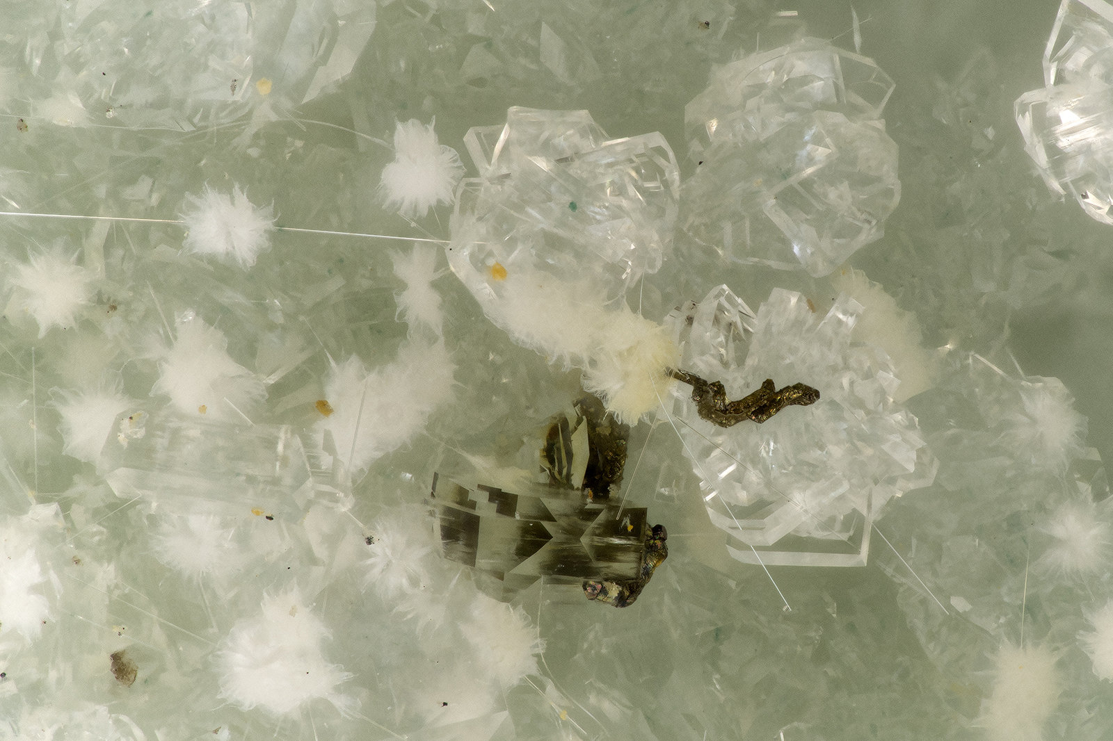 Pyrite, Clinoptilolite-Ca, Erionite-Ca, Mordenite
FOV = 2.6 mm
(Autor: Doug)