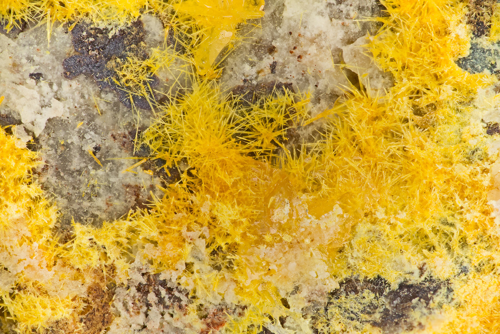 Mimetite
FOV = 3.7 mm
(Autor: Doug)