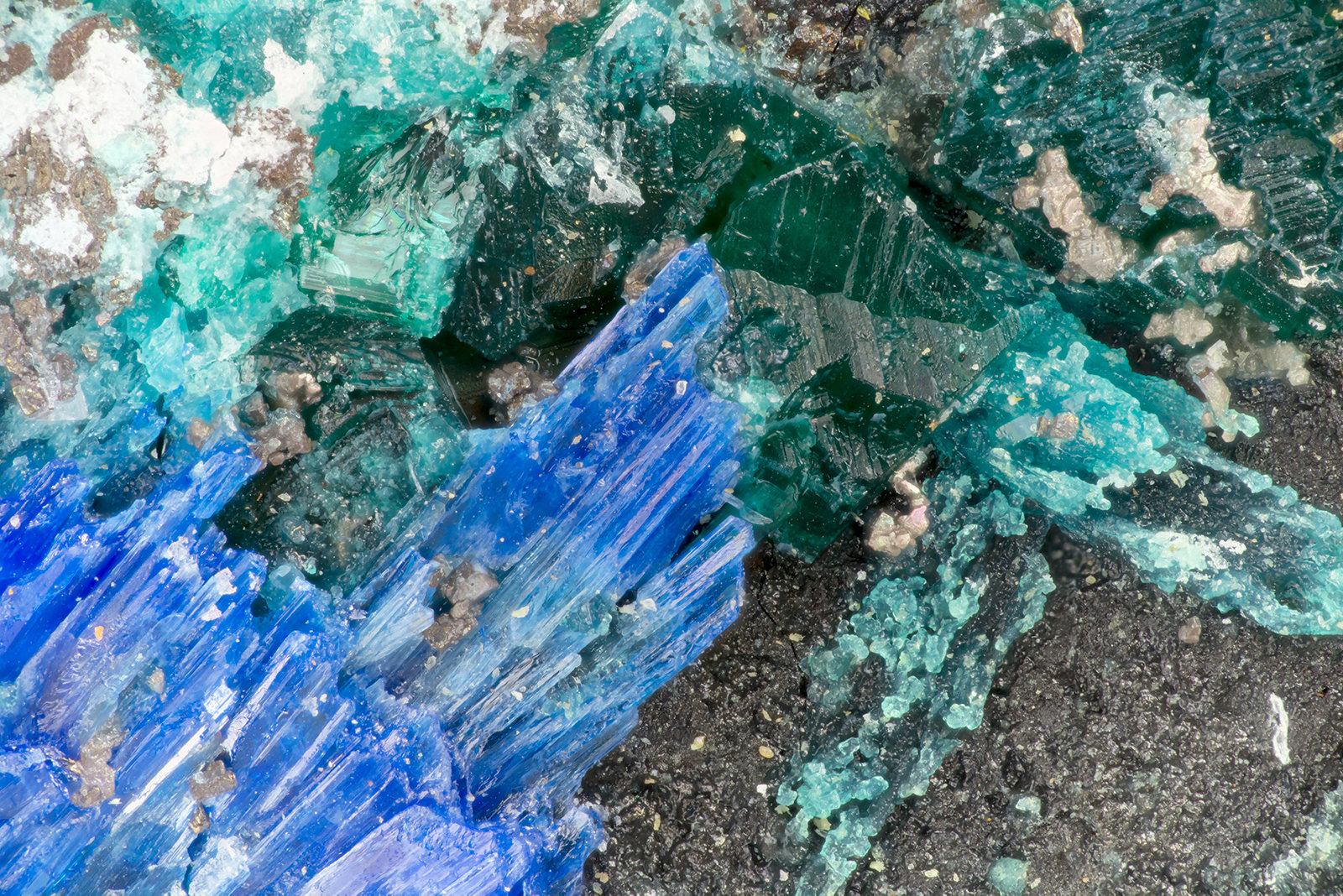 Brochantite, Linarite, Caledonite
FOV = 1.9 mm
(Autor: Doug)