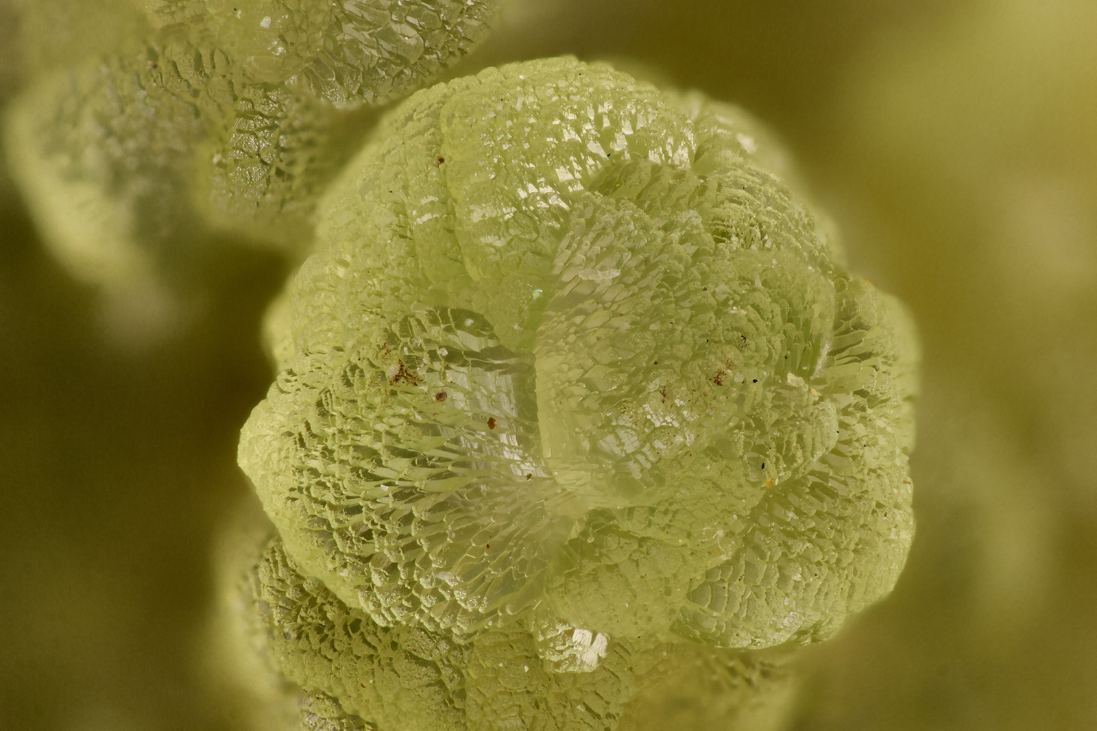 Smithsonite
FOV = 2.9 mm
(Autor: Doug)