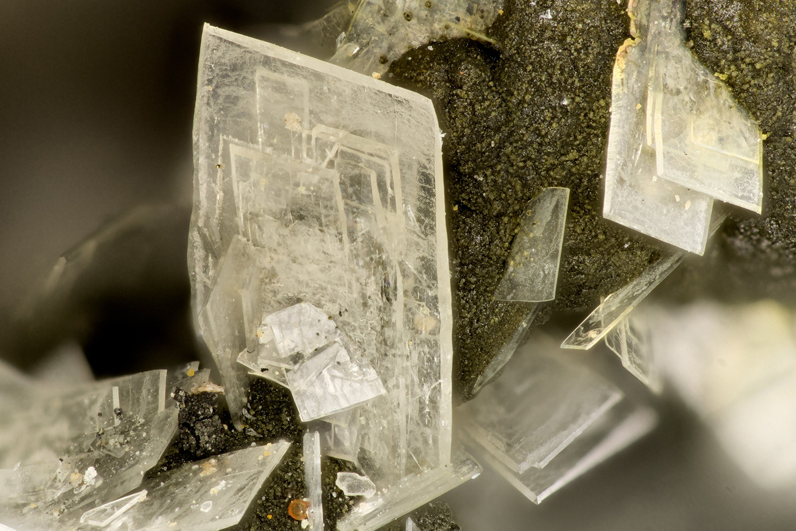Baryte
FOV = 3.2 mm
(Autor: Doug)
