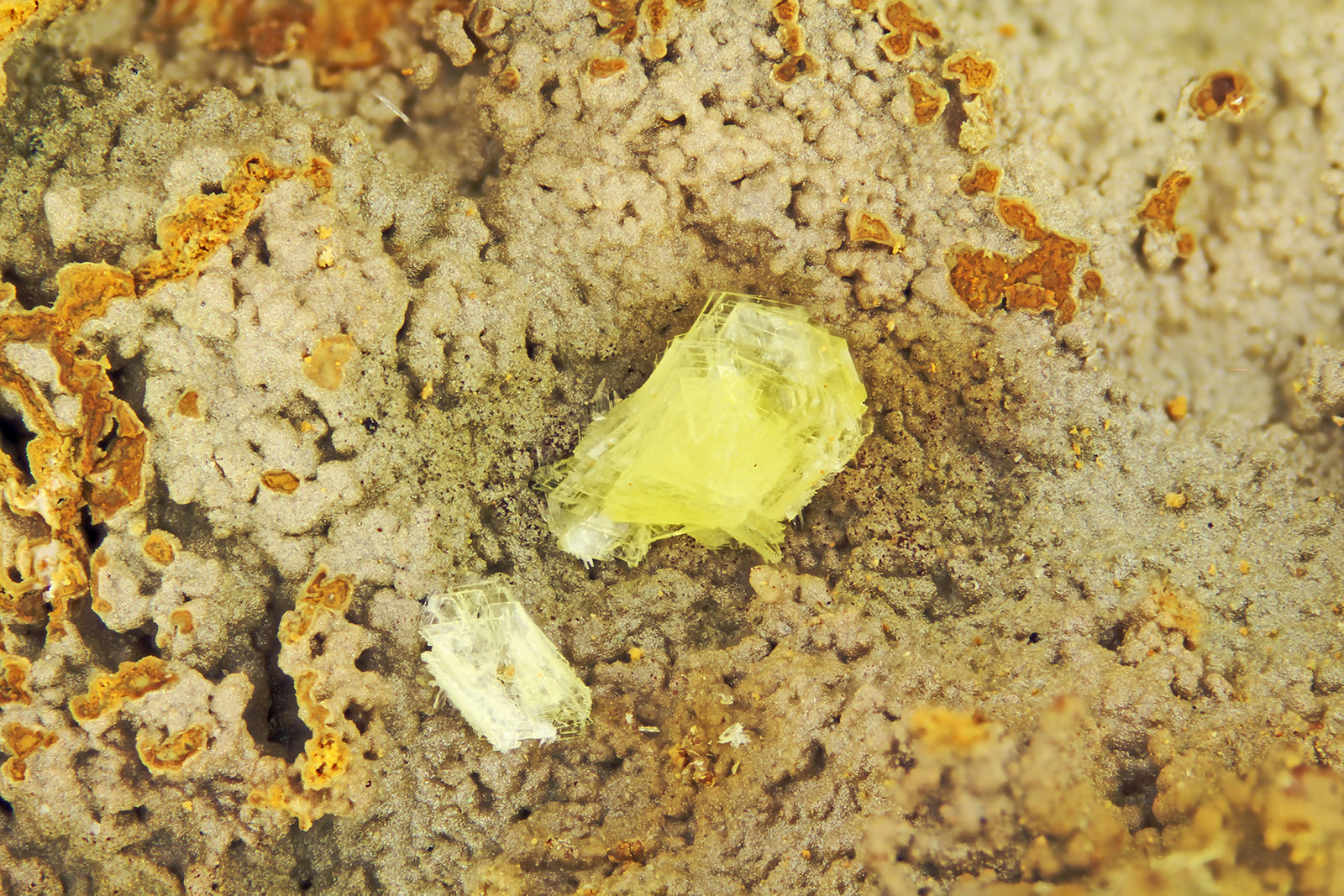 Calcioferrite
FOV = 4.0 mm
(Autor: Doug)