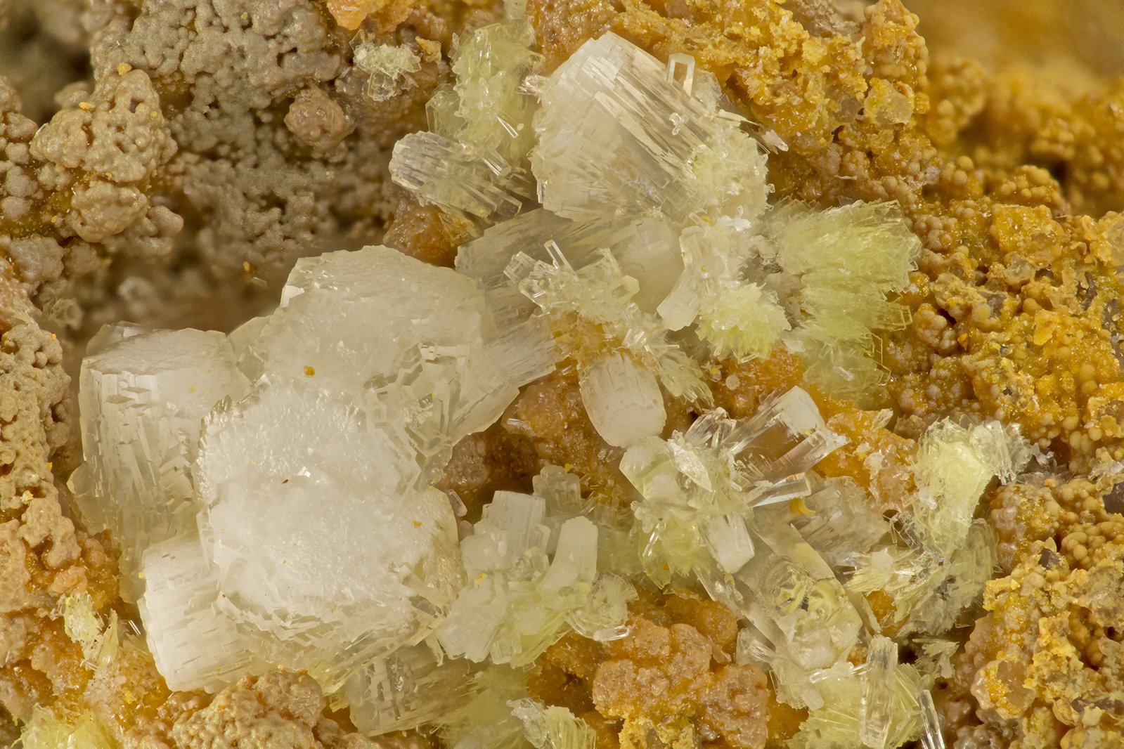 Calcioferrite, Fluorapaite
FOV = 3.8 mm
(Autor: Doug)