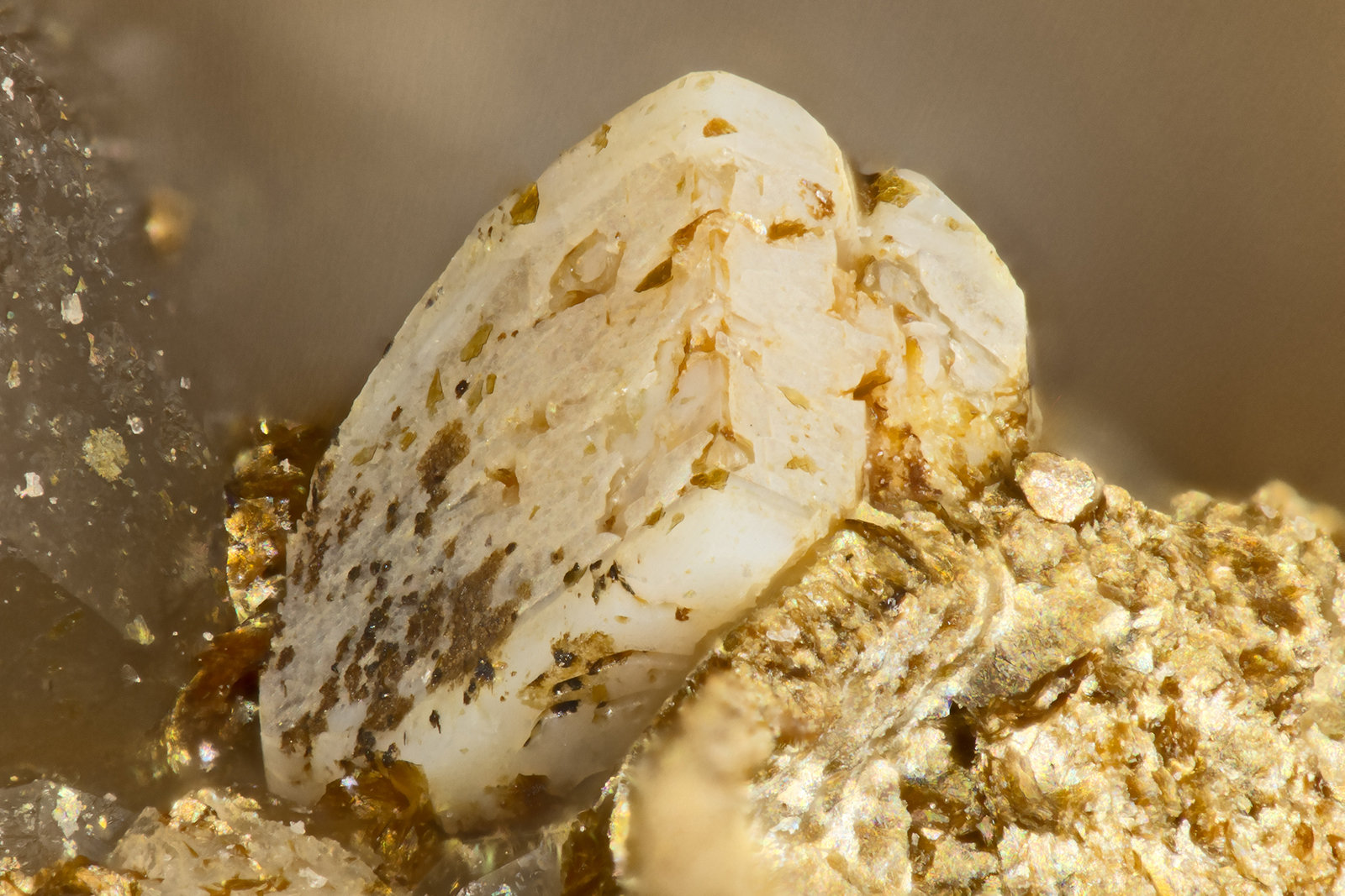 Kainosite-(Y)
FOV = 1.2 mm
(Autor: Doug)
