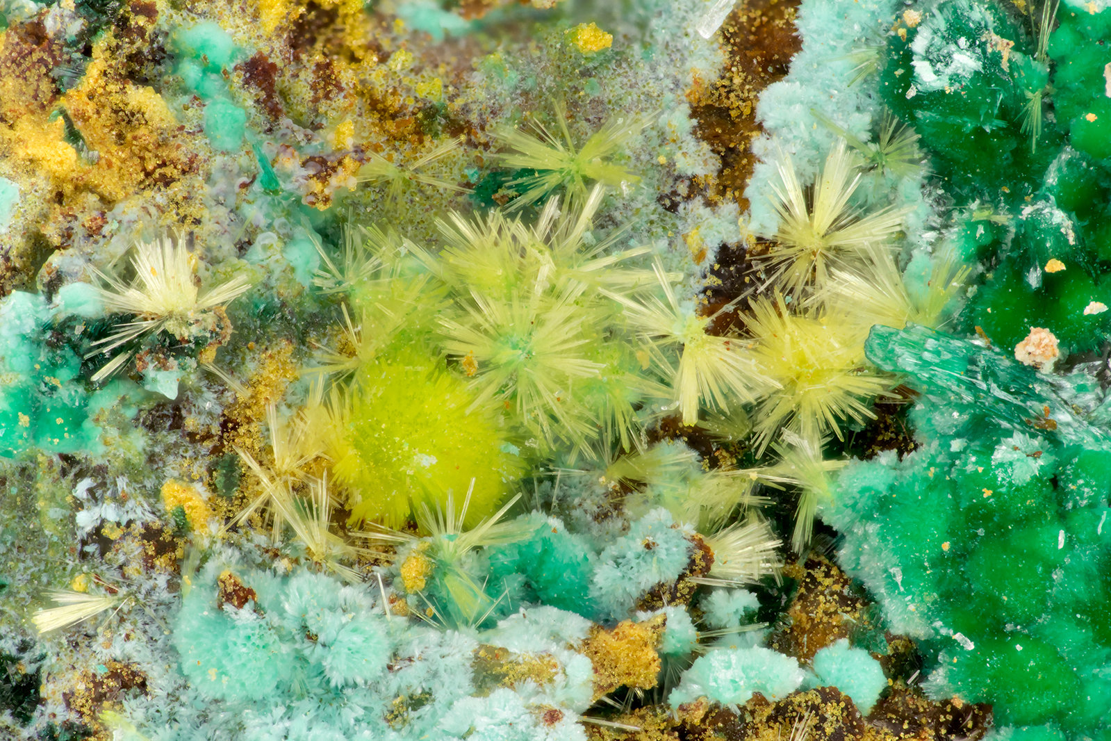 Phurcalite
FOV = 3.5 mm
(Autor: Doug)