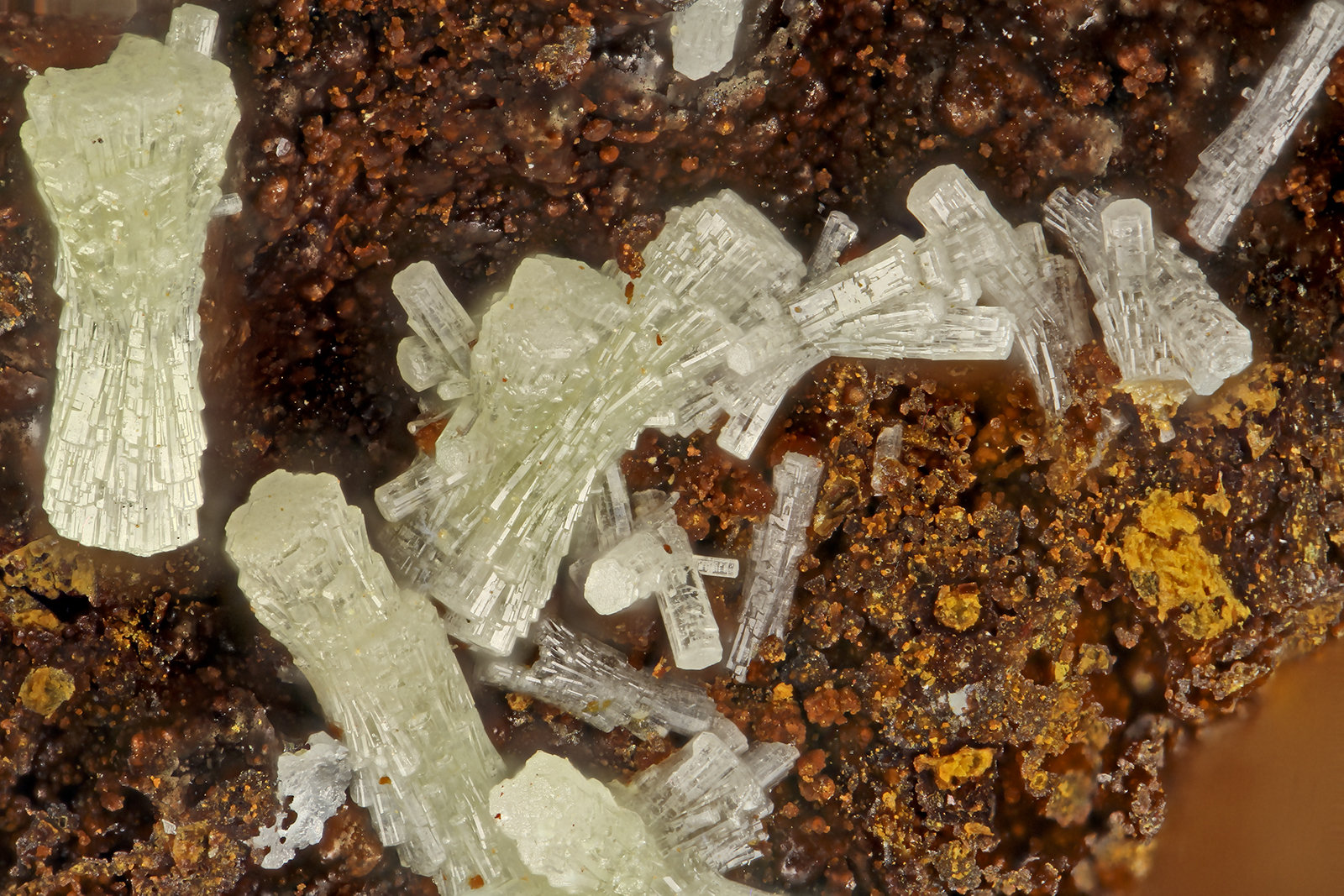 Mimetite
FOV = 1.9 mm
(Autor: Doug)