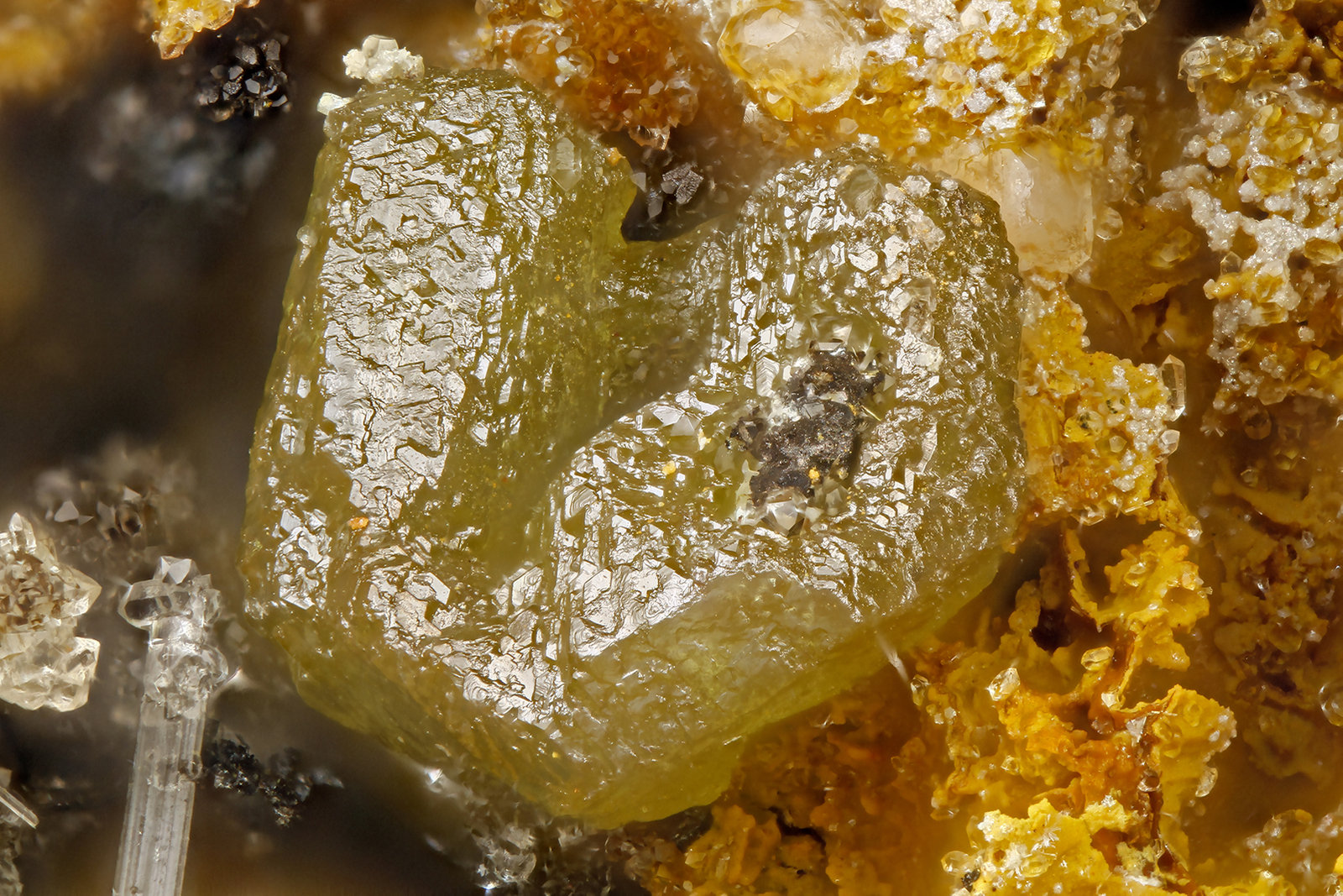 Chlorargyrite
FOV = 1.7 mm
(Autor: Doug)