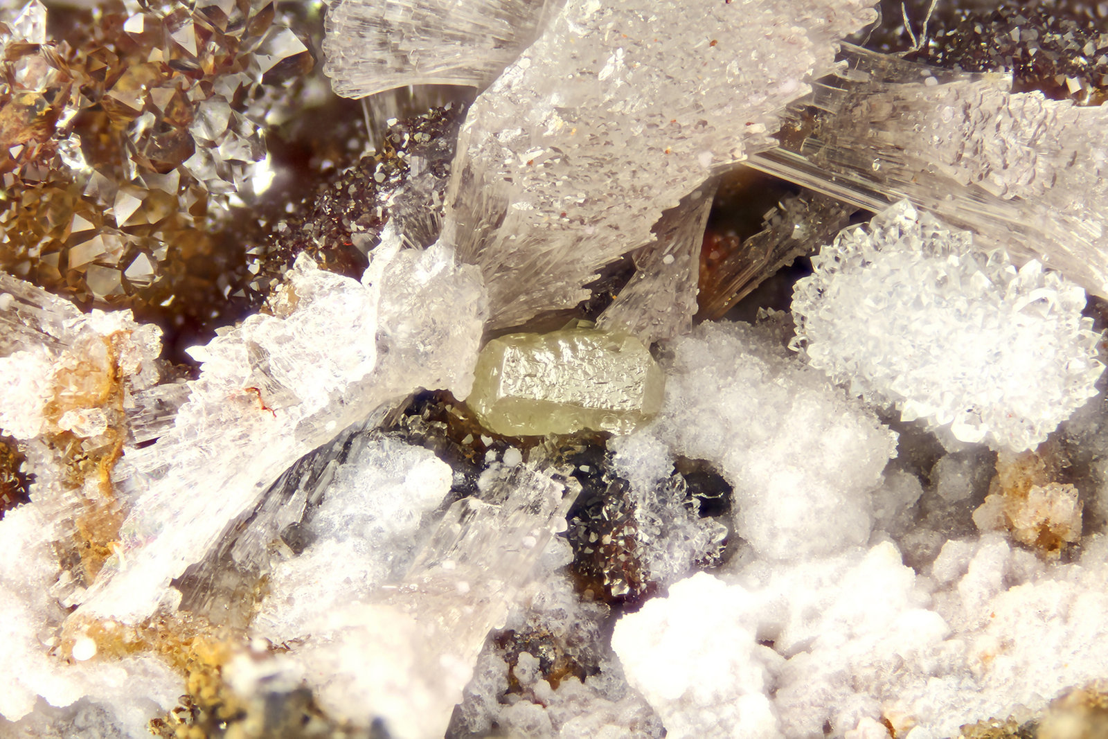 Chlorargyrite
FOV = 4.0 mm
(Autor: Doug)