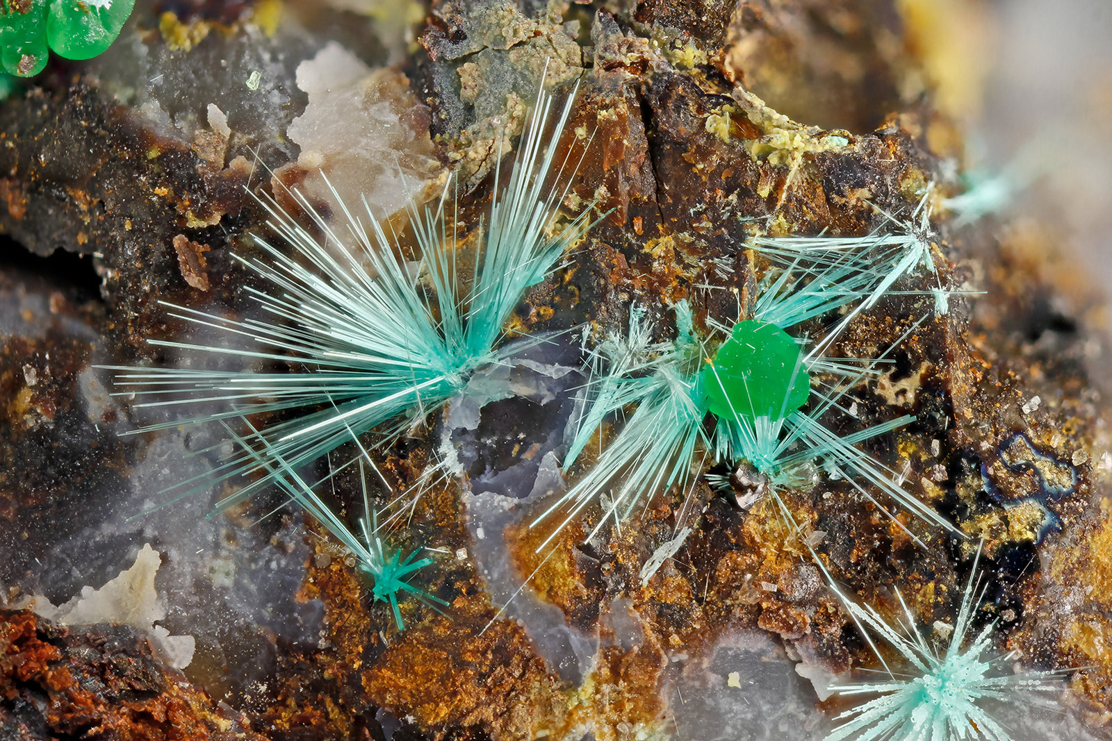 Mixite
FOV = 3.6 mm
(Autor: Doug)