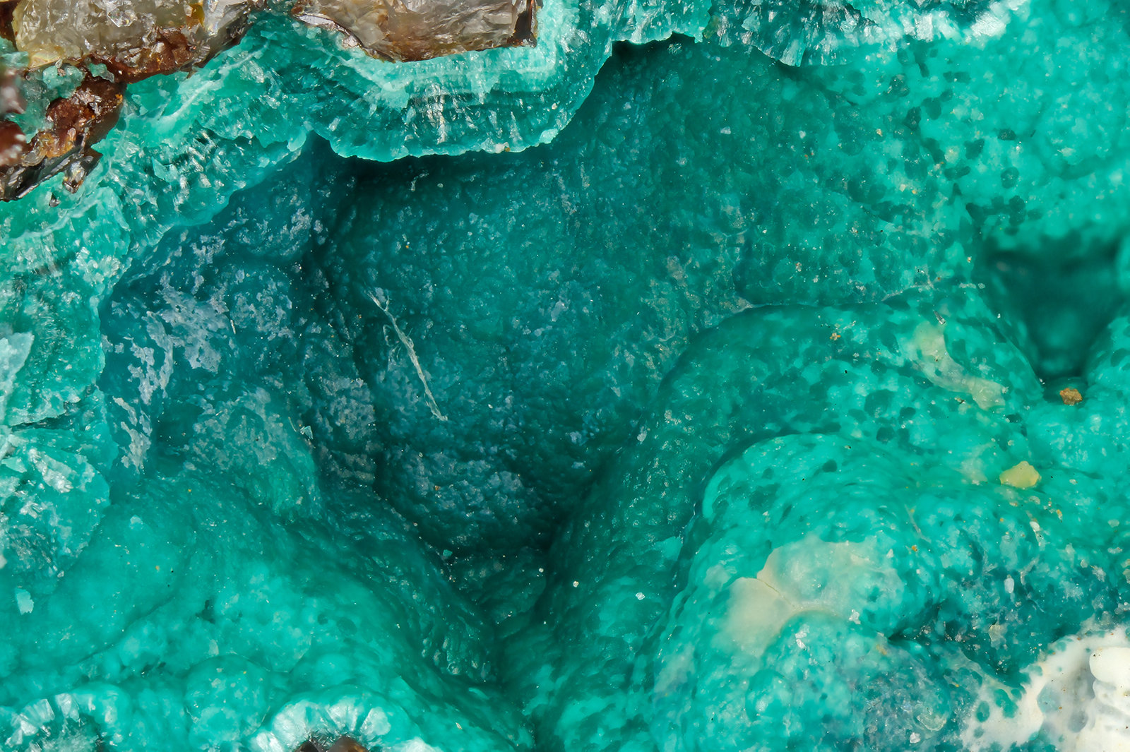 Cornwallite
FOV = 3.1 mm
(Autor: Doug)