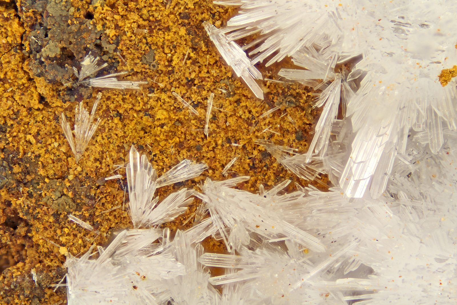 Hemimorphite
FOV = 4.0 mm
(Autor: Doug)