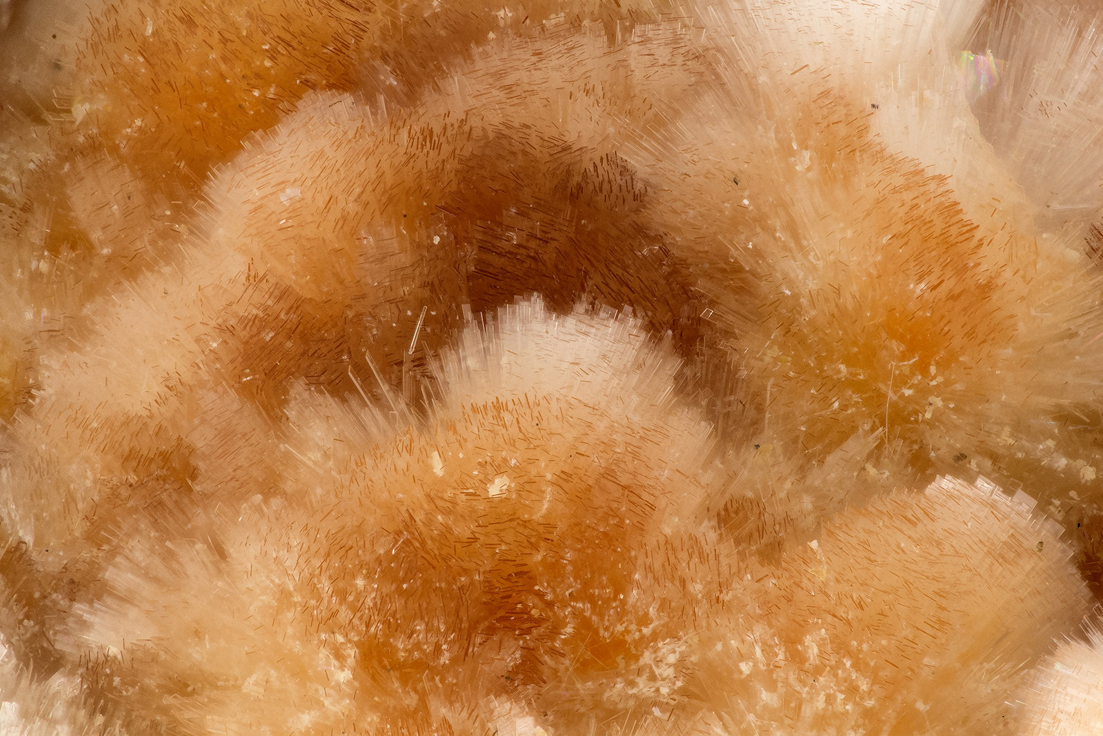 Ferrierite-Mg
FOV = 2.9 mm
(Autor: Doug)