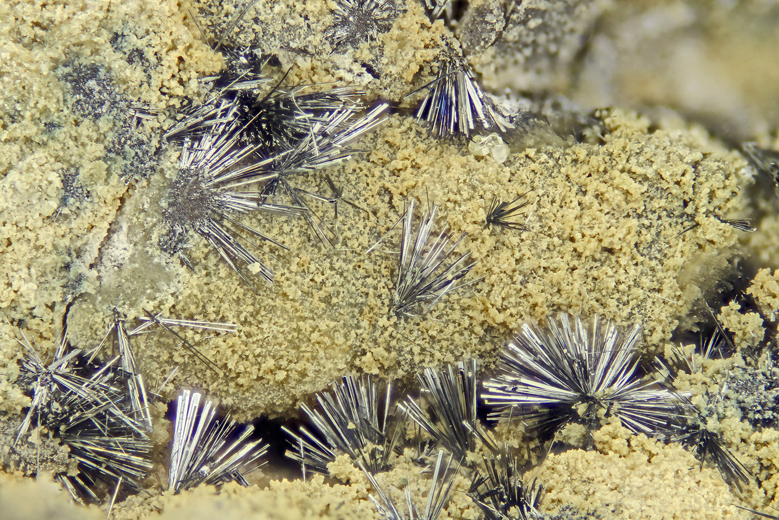 Stibnite
FOV = 4.0 mm
(Autor: Doug)