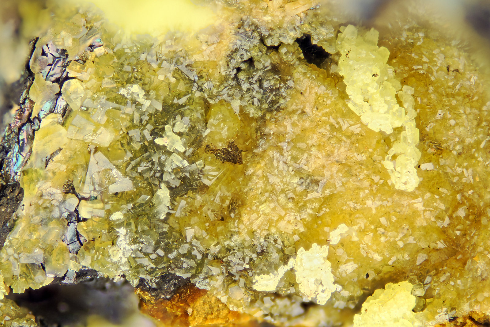 Sulphur
FOV = 4.0 mm
(Autor: Doug)