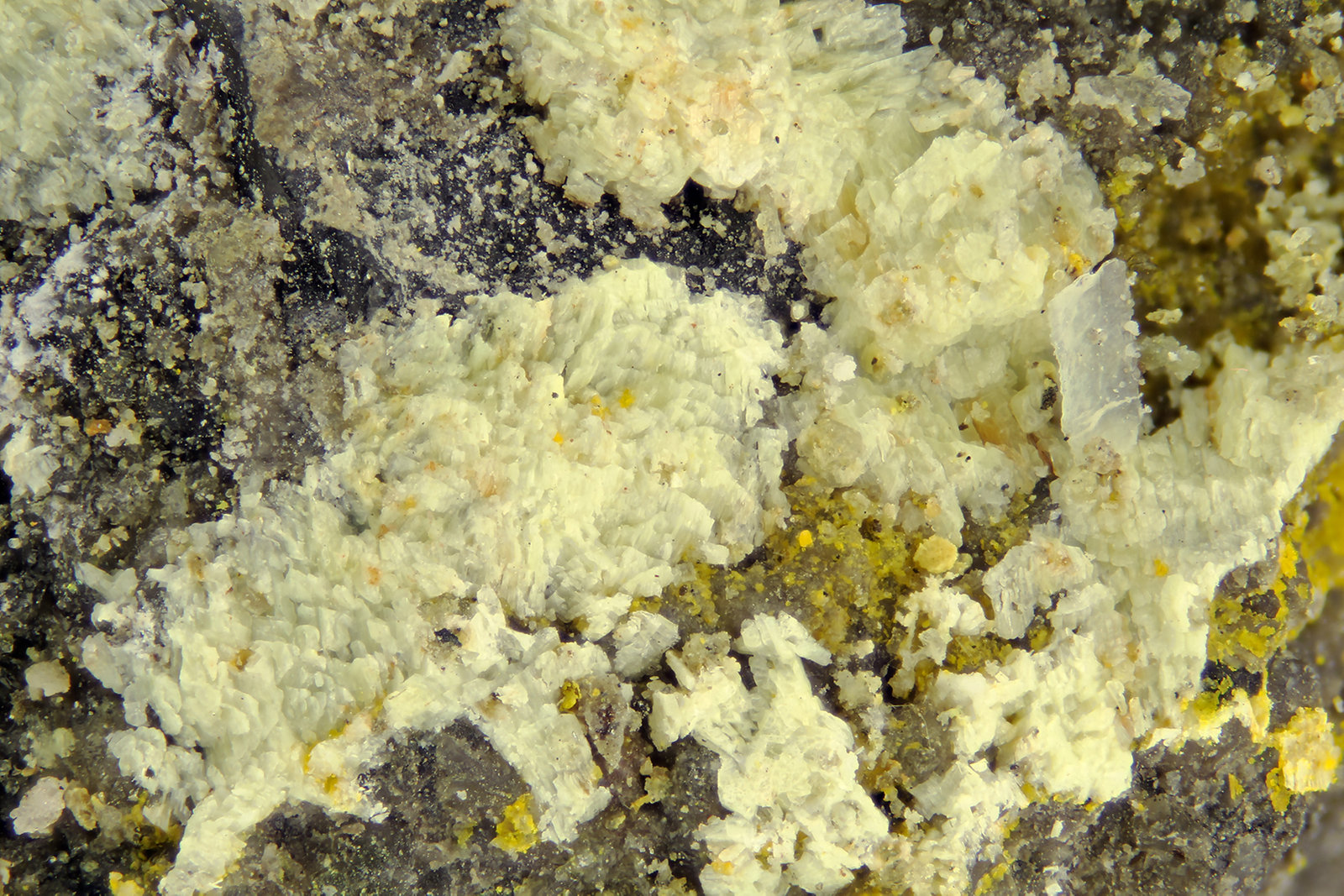 Metarossite
FOV = 4.0 mm
(Autor: Doug)