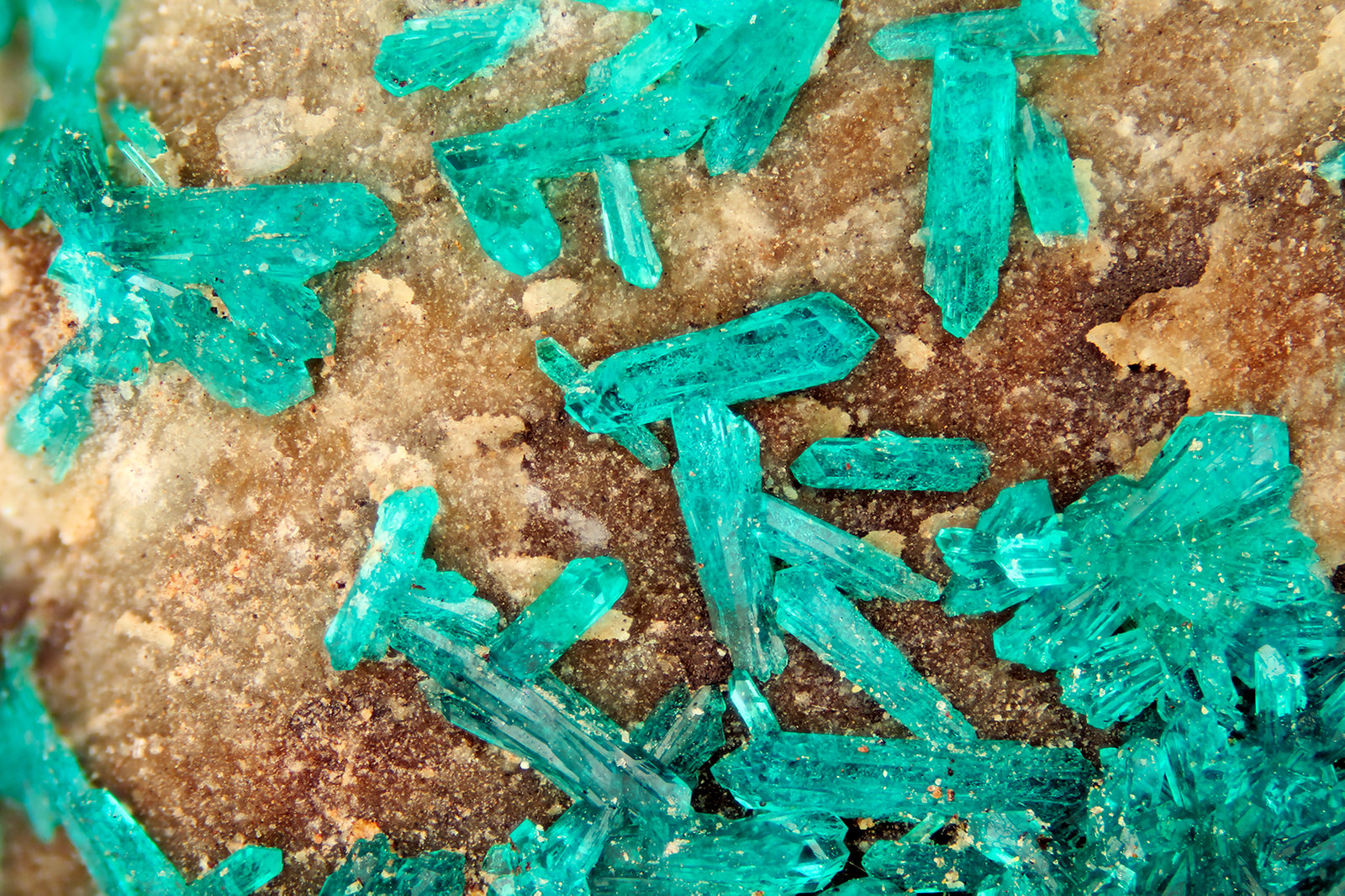 Dioptase<br />{LOCALITAT}