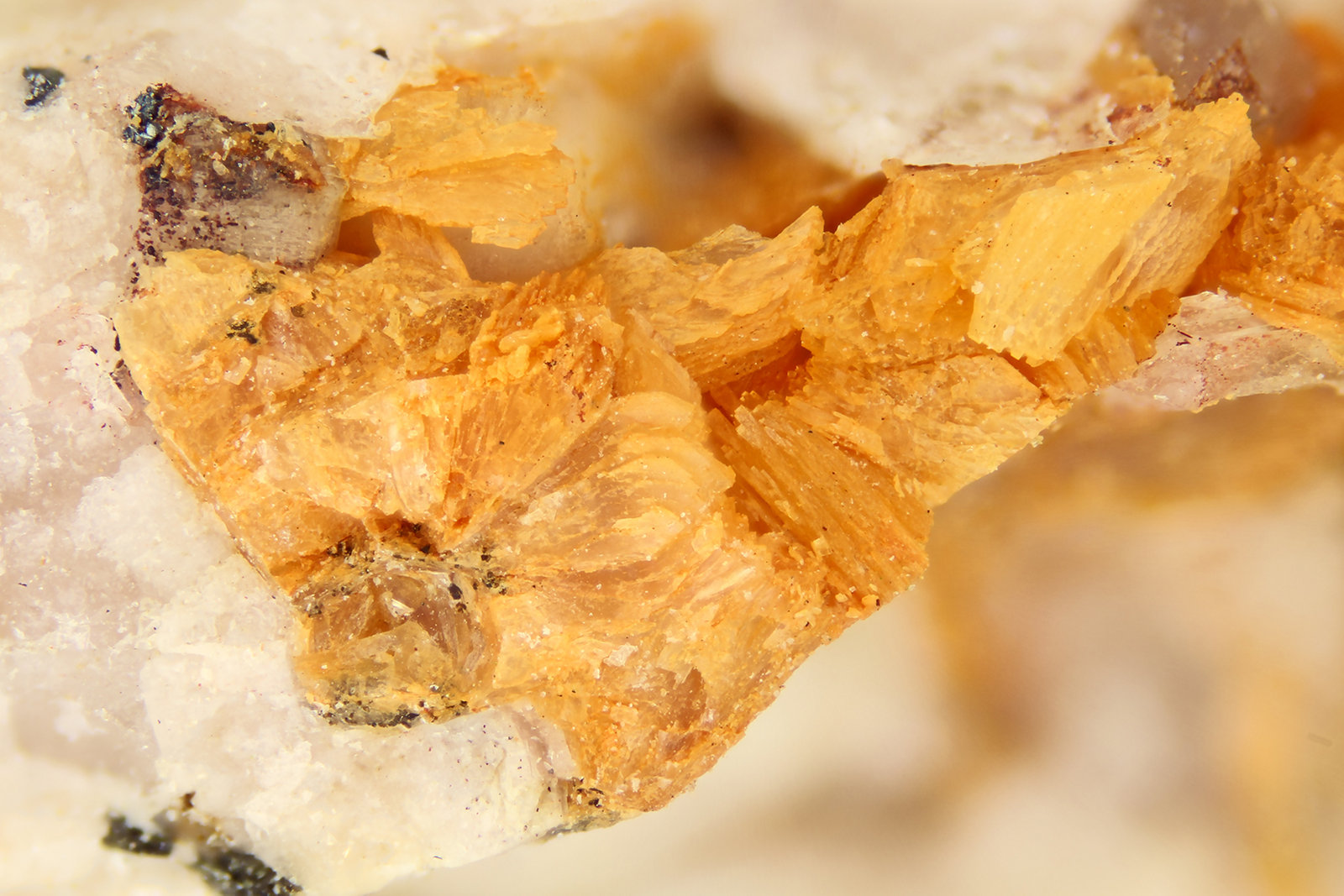 Prehnite
FOV = 4.0 mm
(Autor: Doug)