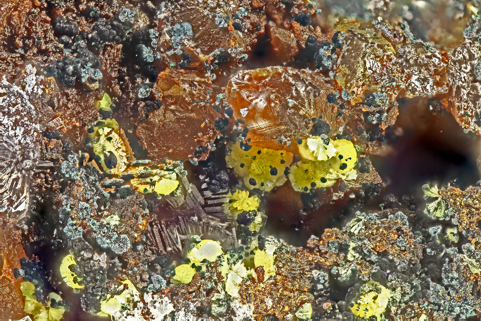 Meurigite-K
FOV = 2.0 mm
(Autor: Doug)