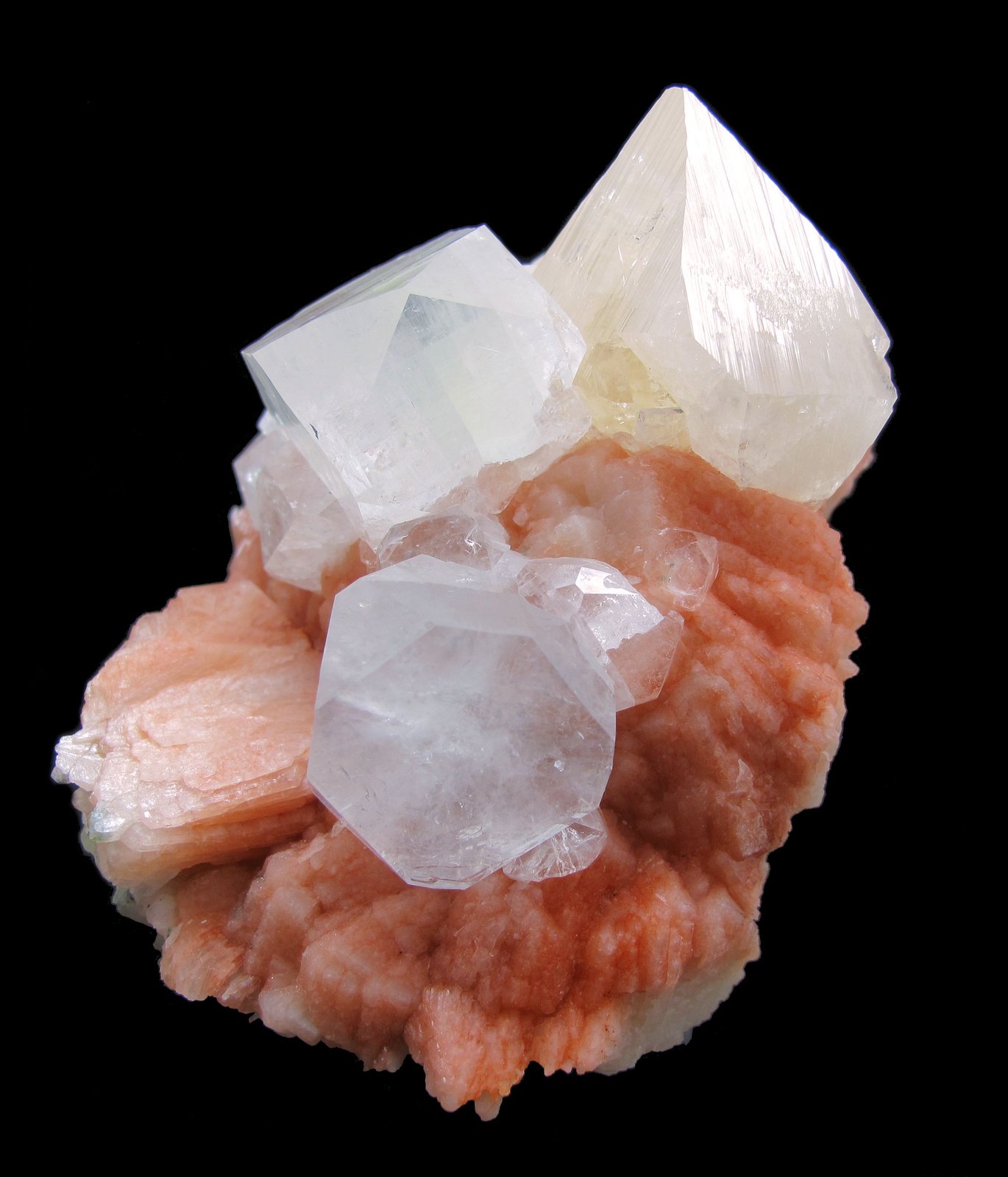 Powellite, Apophyllite-(KF), Stilbite-Ca
84 mm x 63 mm
(Autor: Carles Millan)
