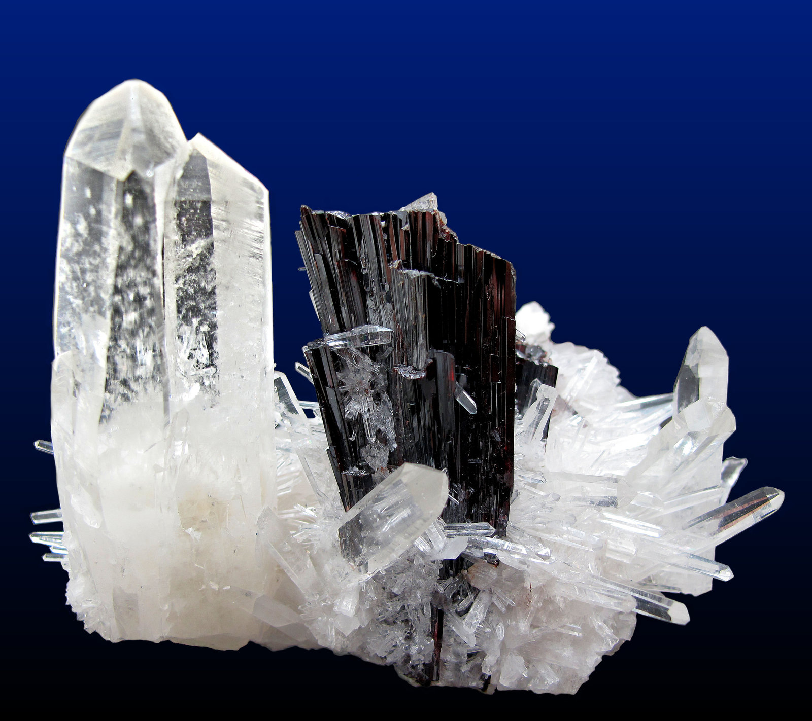 Hübnerite, Quartz
Overall size: 108mm x 67mm. Main hübnerite crystal: 63mm tall, 26mm wide. Main quartz crystal: 72mm tall, 21mm wide.
(Autor: Carles Millan)