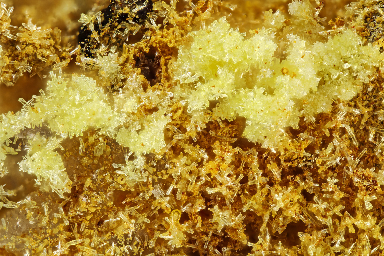 Phosphohedyphane
FOV = 2.0 mm
(Autor: Doug)