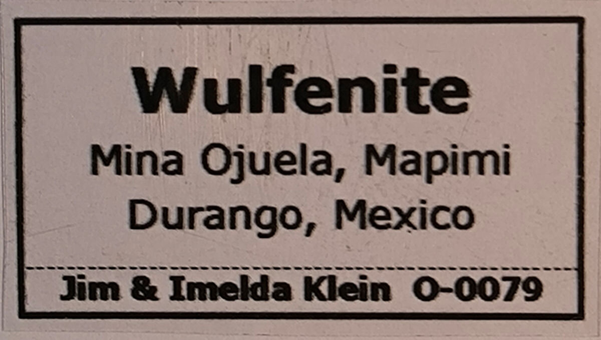_Label from previous collector
(Autor: Carles Millan)