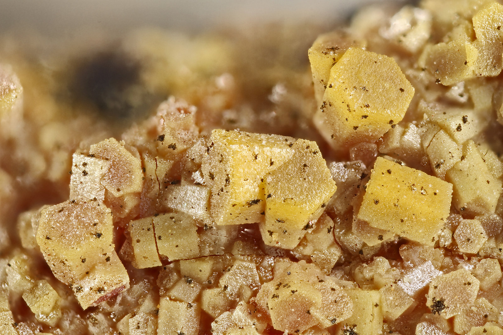 Vanadinite, Descloizite
FOV = 4.0 mm
(Autor: Doug)