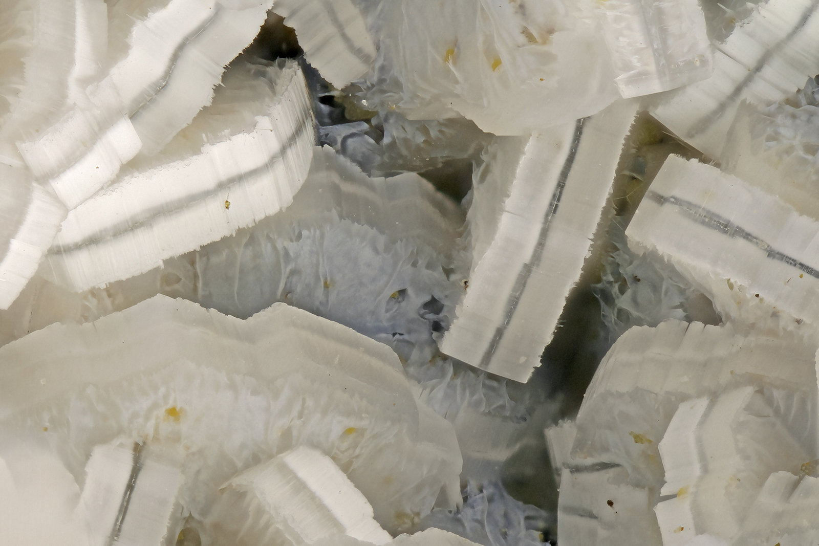 Erionite, Levyne
FOV = 3.1 mm
(Autor: Doug)