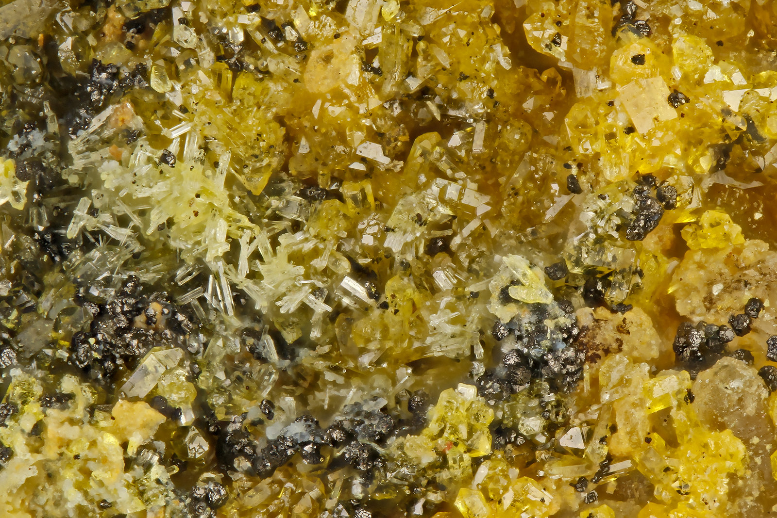 Murdochite, Mimetite
FOV = 1.2 mm
(Autor: Doug)