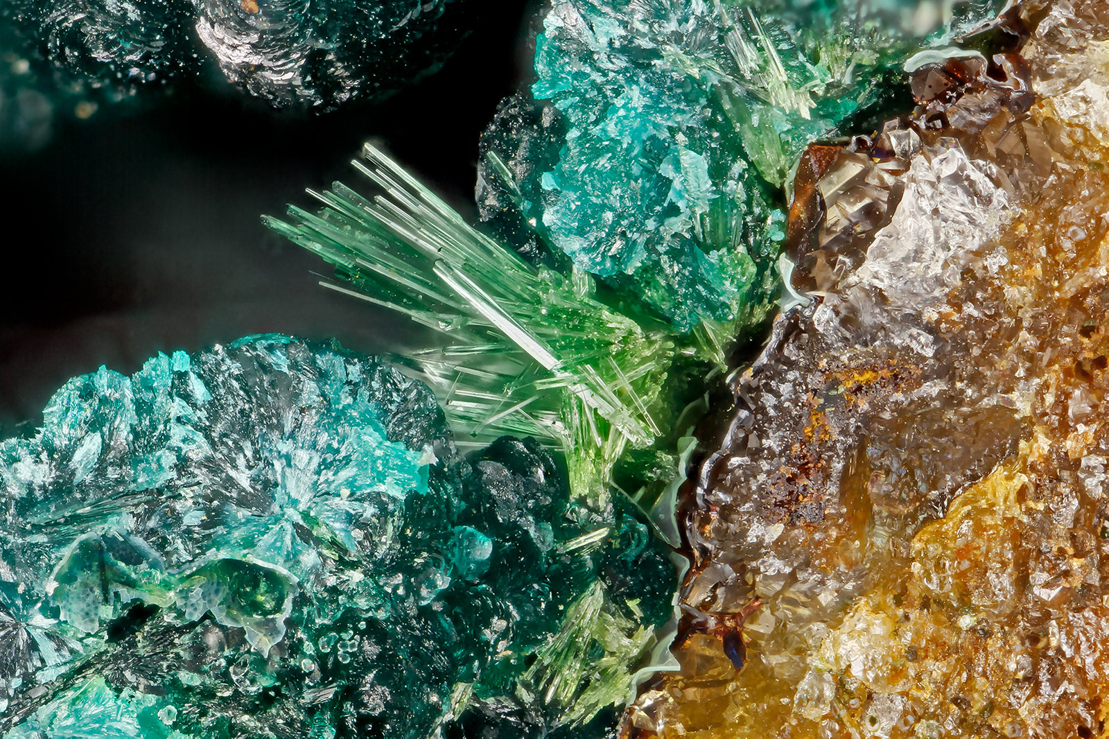 Libethenite, Pseudomalachite
FOV = 2.7 mm
(Autor: Doug)