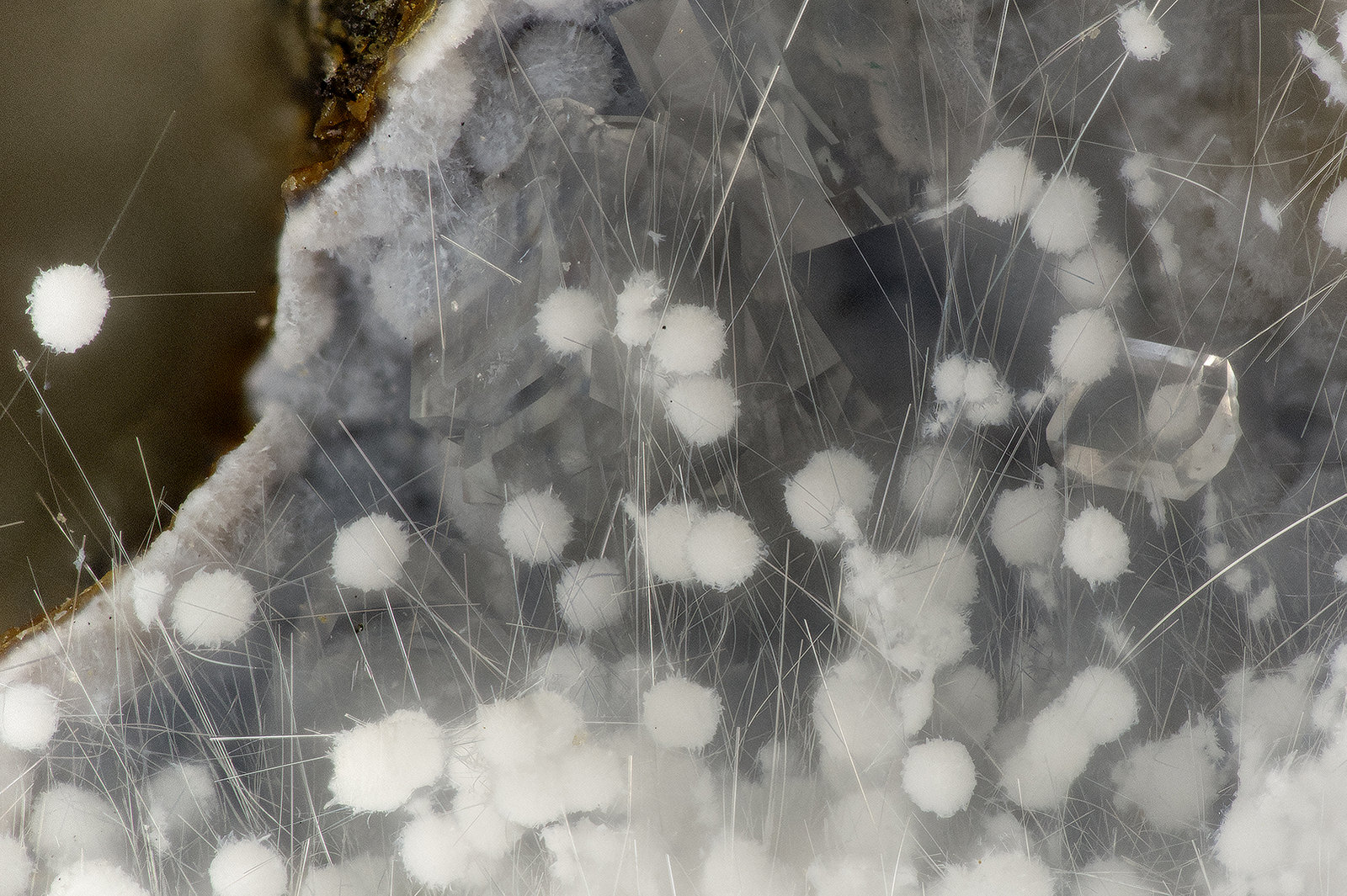 Mordenite, Erionite-Ca, Clinoptilolite-Ca
FOV = 2.7 mm
(Autor: Doug)