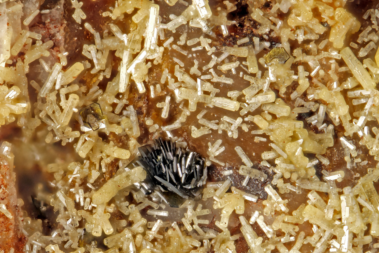 Mottramite, Vanadinite
FOV = 1.2 mm
(Autor: Doug)
