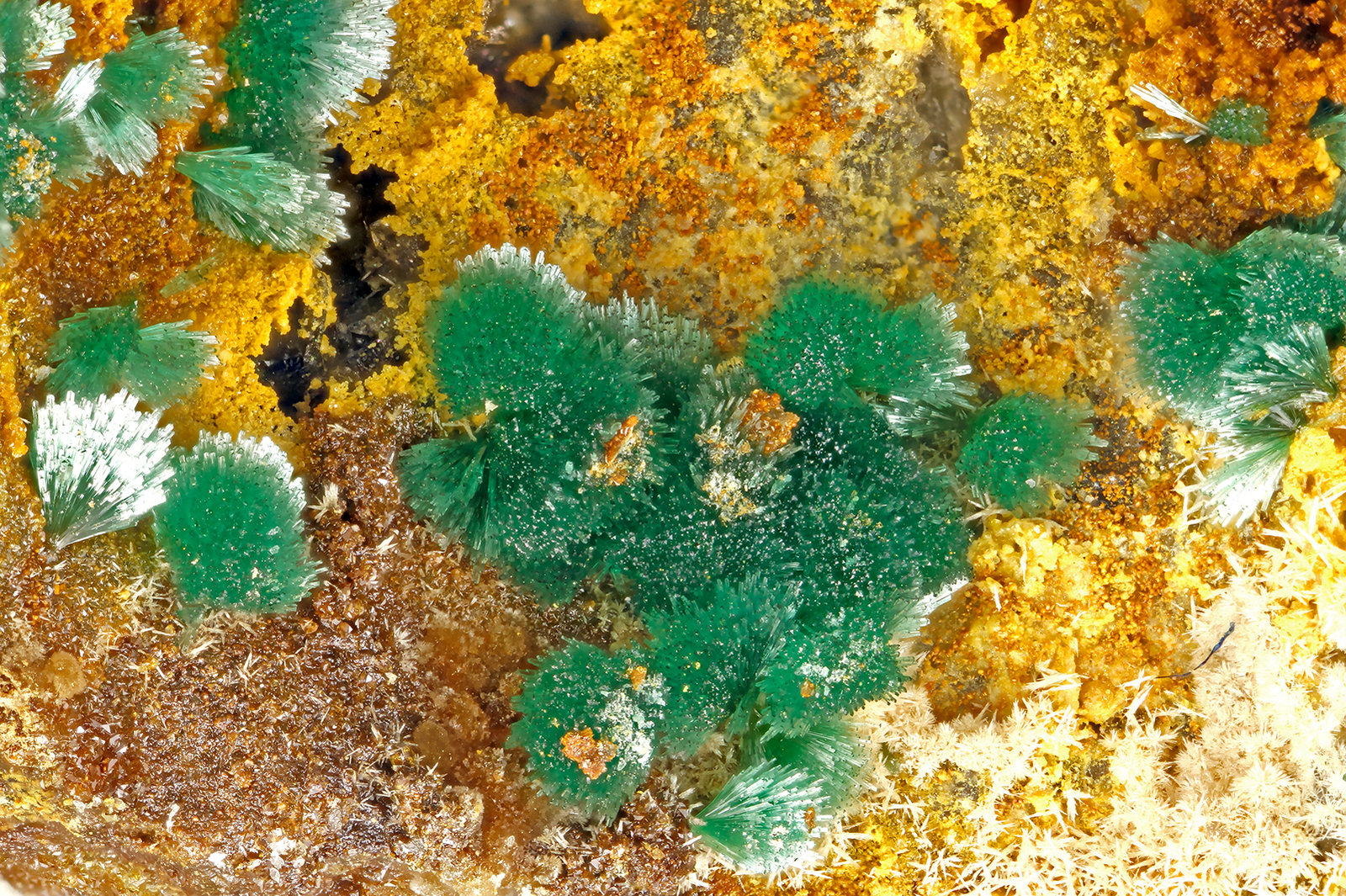 Libethenite
FOV = 3.6 mm
(Autor: Doug)