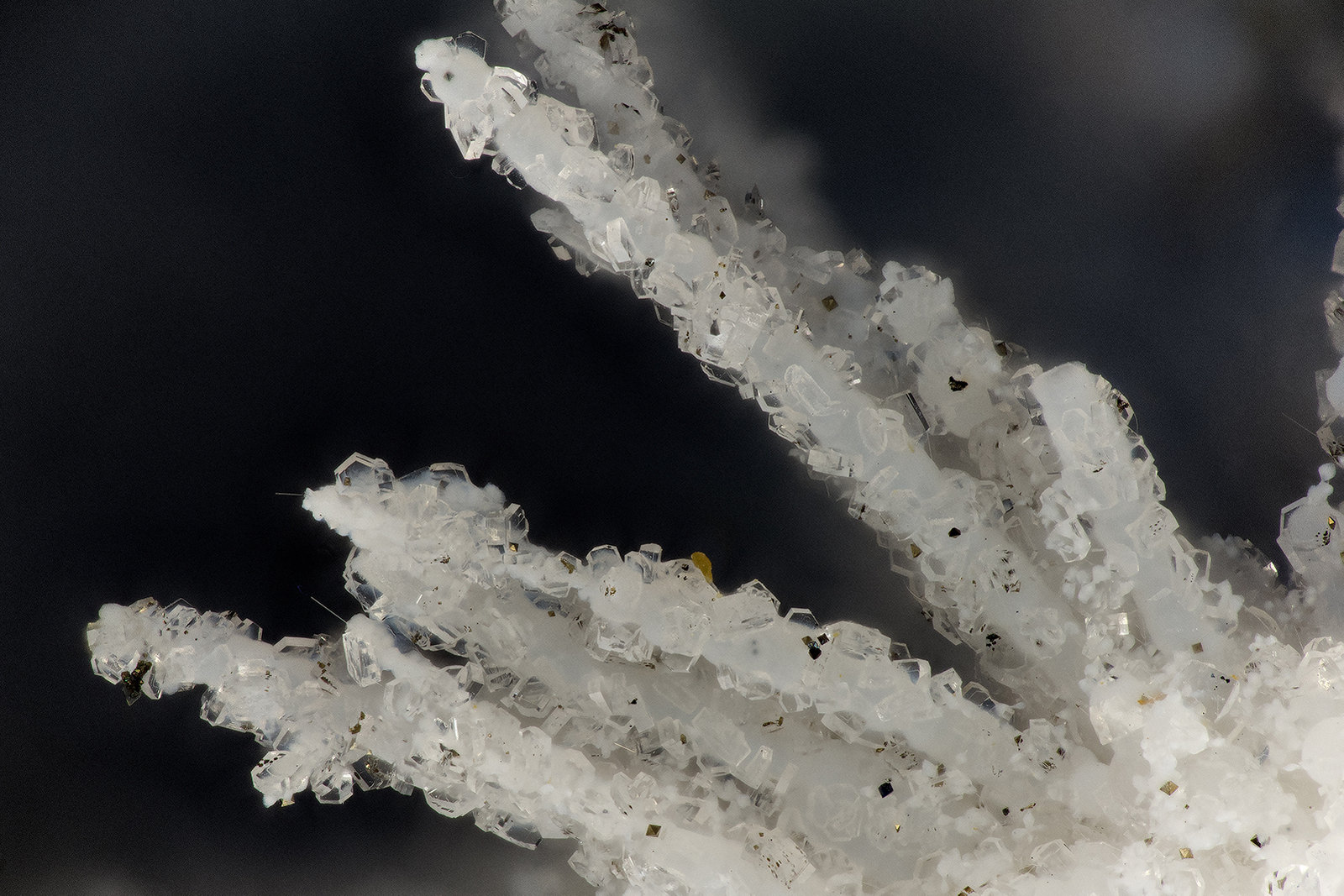 Clinoptilolite, Mordenite, Erionite-Ca
FOV = 3.3 mm
(Autor: Doug)