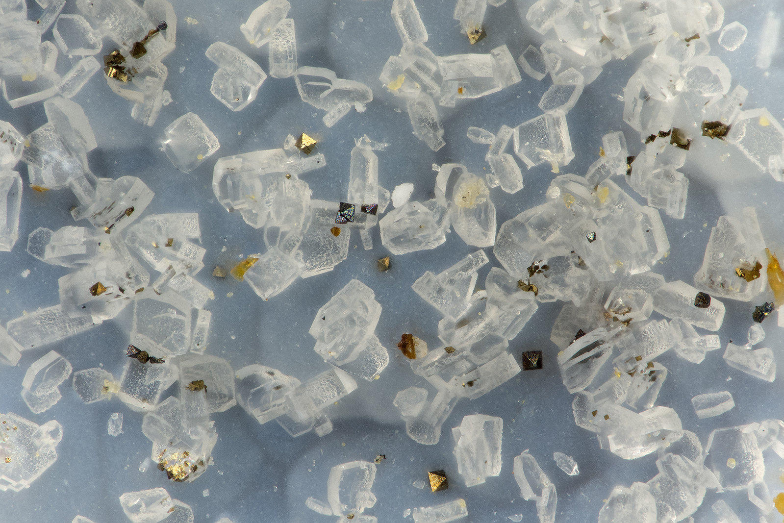 Pyrite, Clinoptilolite-Ca
FOV = 1.4 mm
(Autor: Doug)