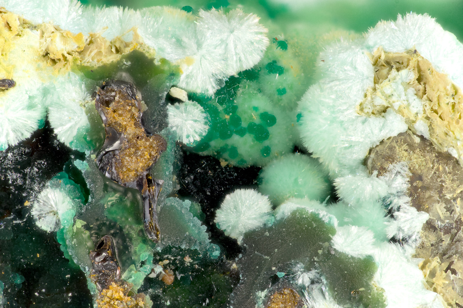 Strashimirite
FOV = 3.4 mm
(Autor: Doug)