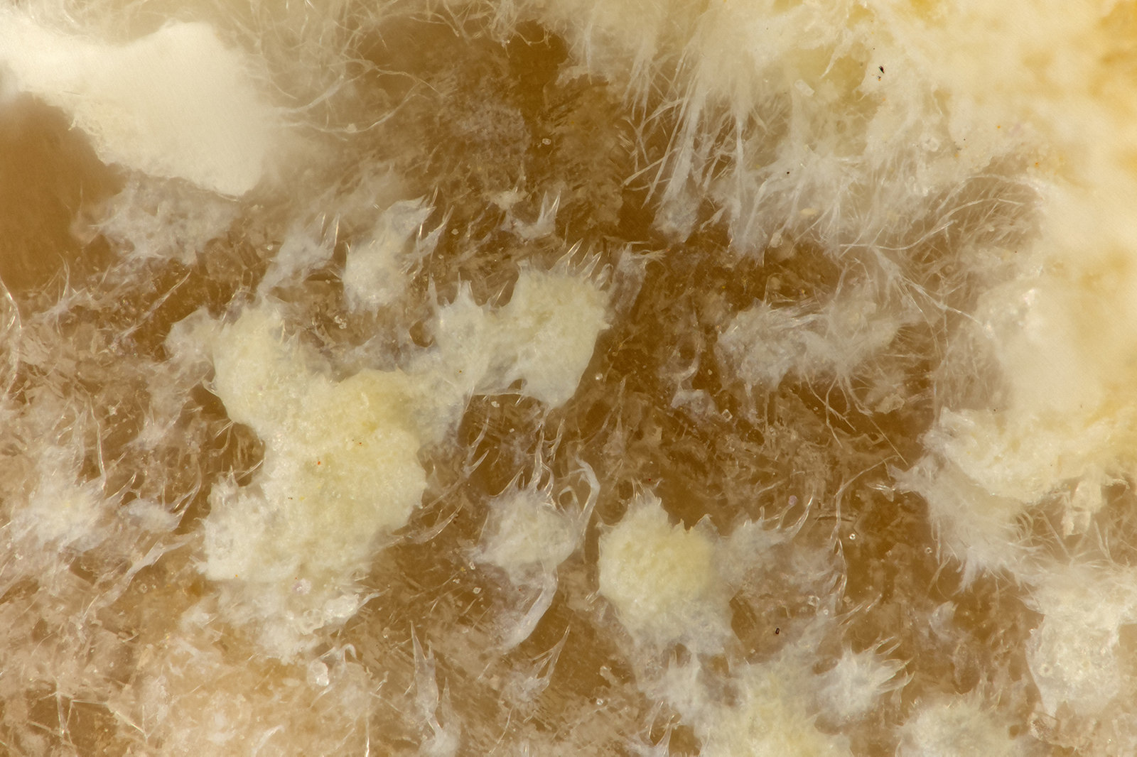 Sepiolite
FOV = 1.5 mm
(Autor: Doug)