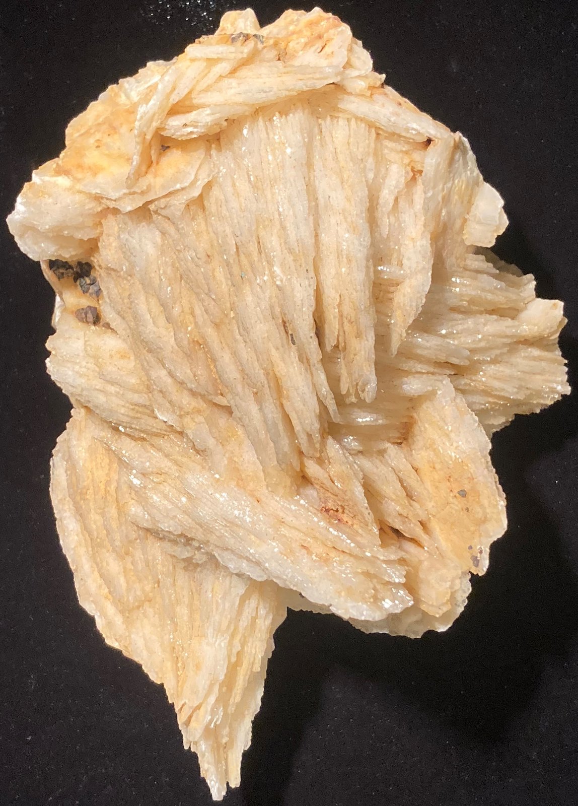 Barite
162 mm X 124 mm X 93 mm
(Autor: Robert Seitz)