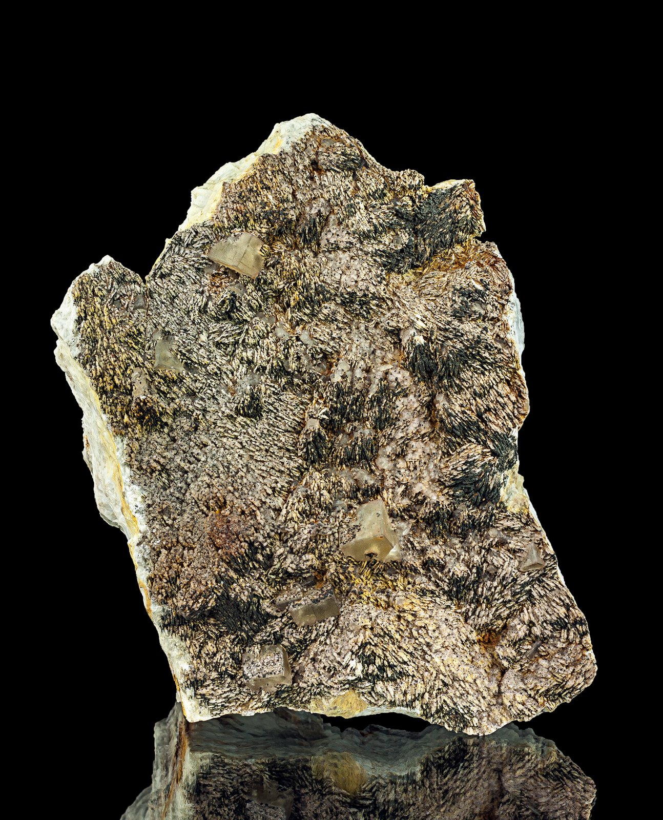 Baryte, Fluorite
17,1 x 12,4 x 7,4 cm
(Autor: Niels Brouwer)