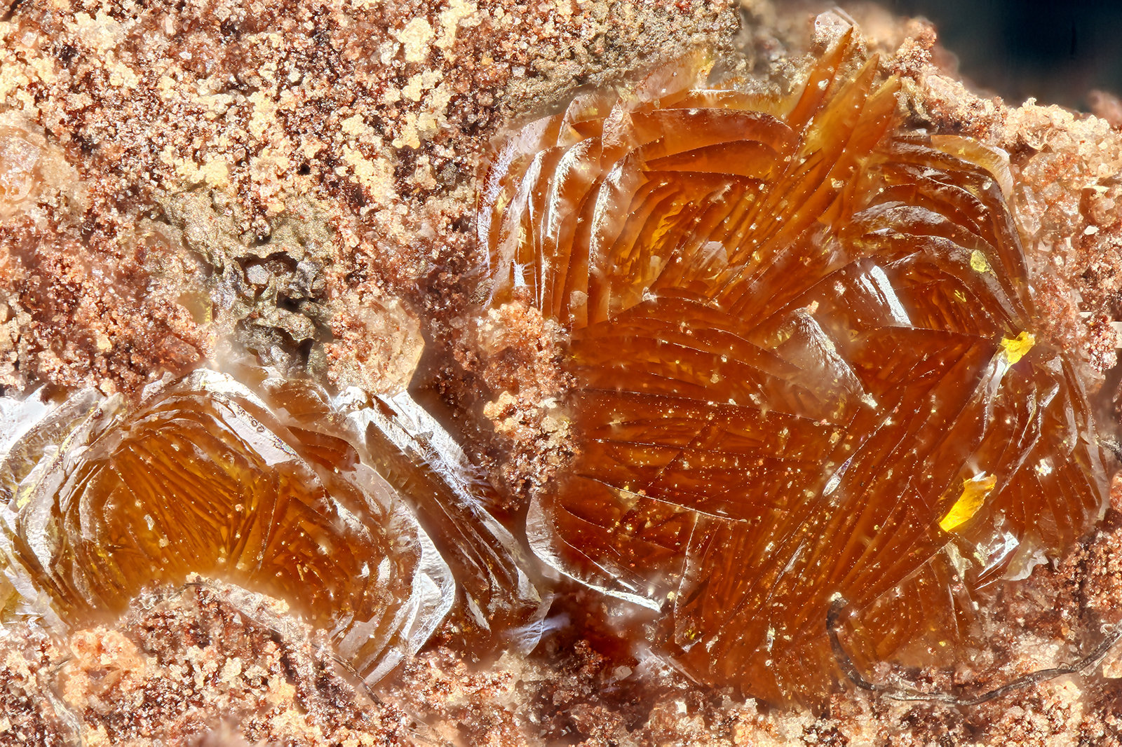 Descloizite
FOV = 1.8 mm
(Autor: Doug)