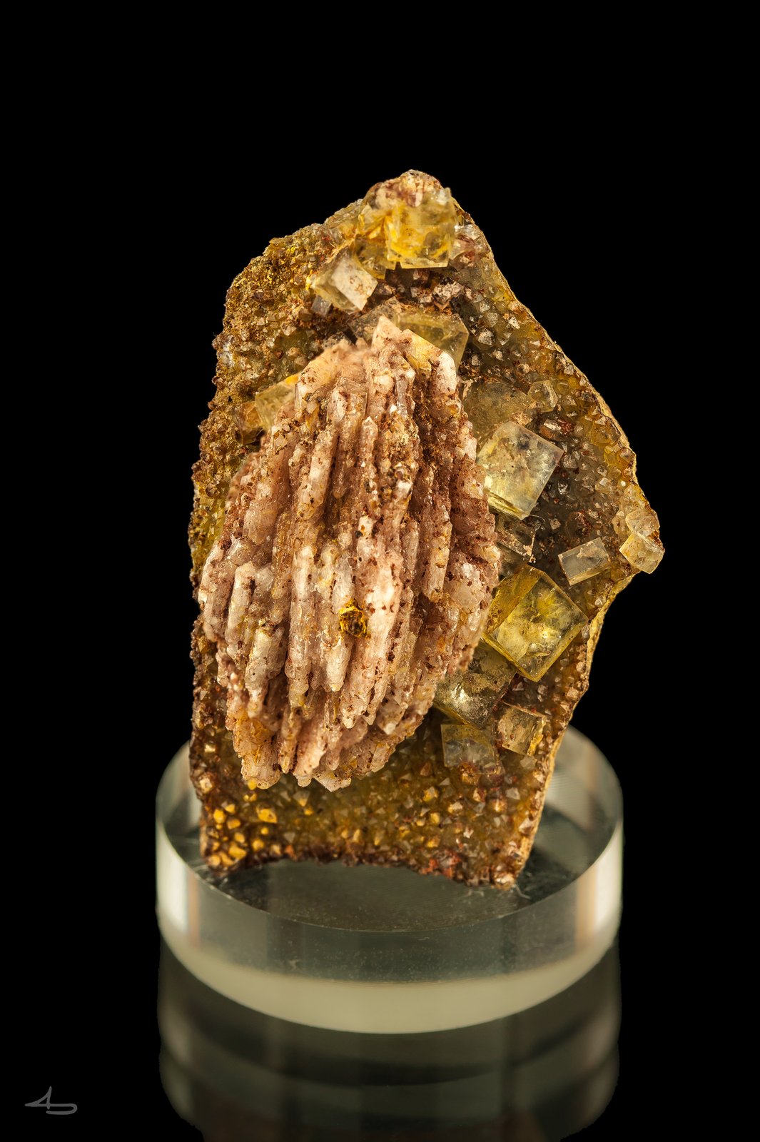 Baryte, Fluorite
4,1 x 2,5 x 1,6 cm
(Autor: Niels Brouwer)