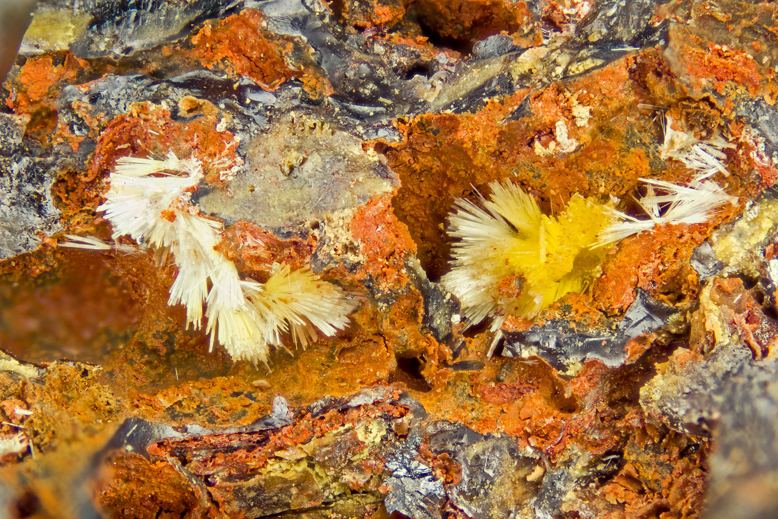 Klebelsbergite
FOV = 4.0 mm
(Autor: Doug)