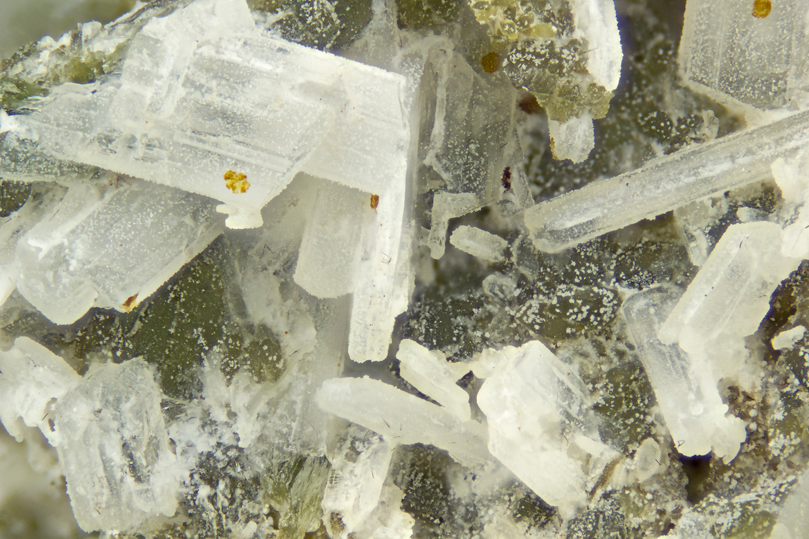 Tuscanite
FOV = 4.0 mm
(Autor: Doug)